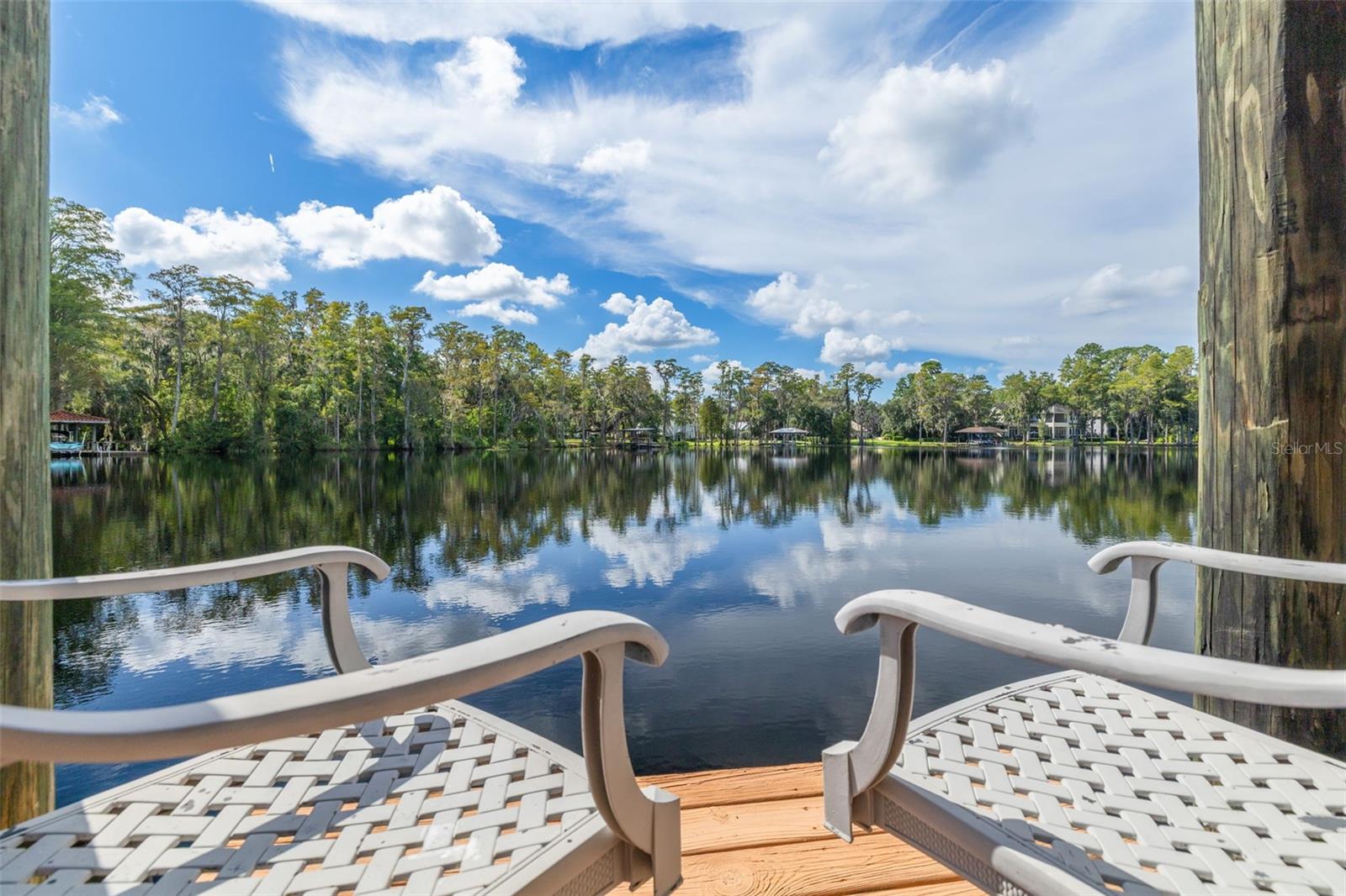 16203 SENTRY WOODS COURT, Odessa, FL 33556