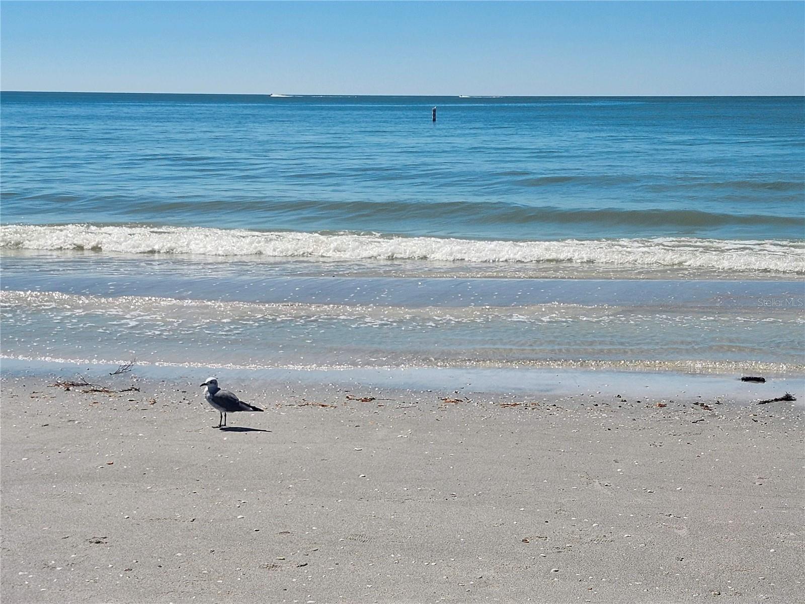 Beautiful Indian Rocks Beach