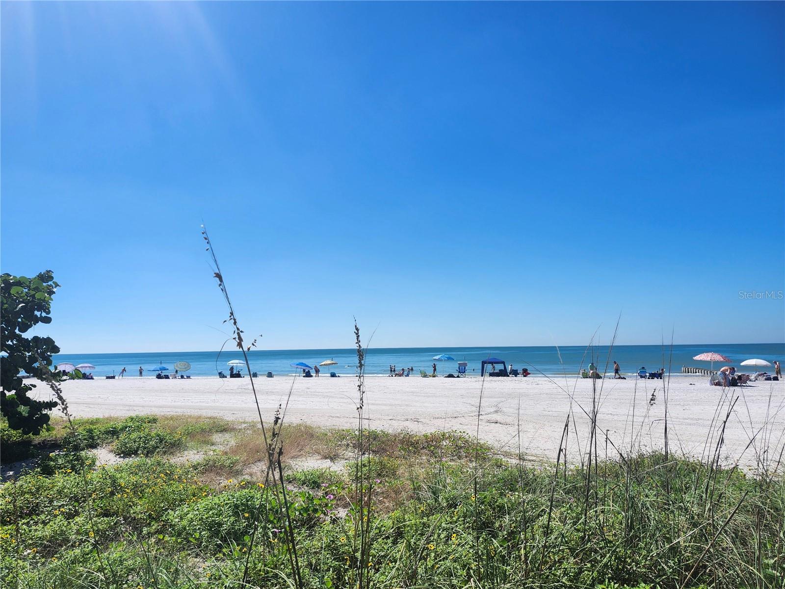 Beautiful Gulf