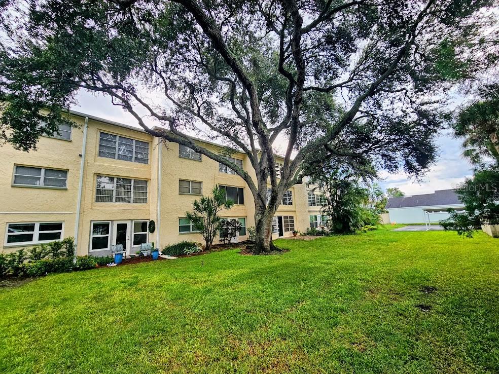 11620 PARK BOULEVARD, #303, Seminole, FL 33772