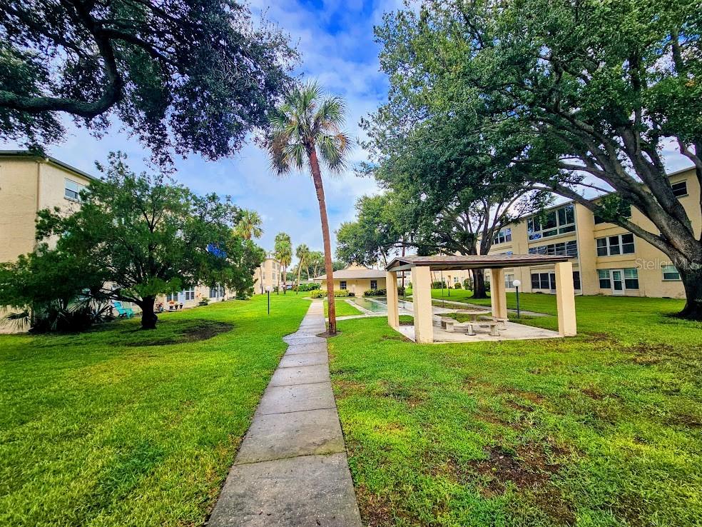 11620 PARK BOULEVARD, #303, Seminole, FL 33772
