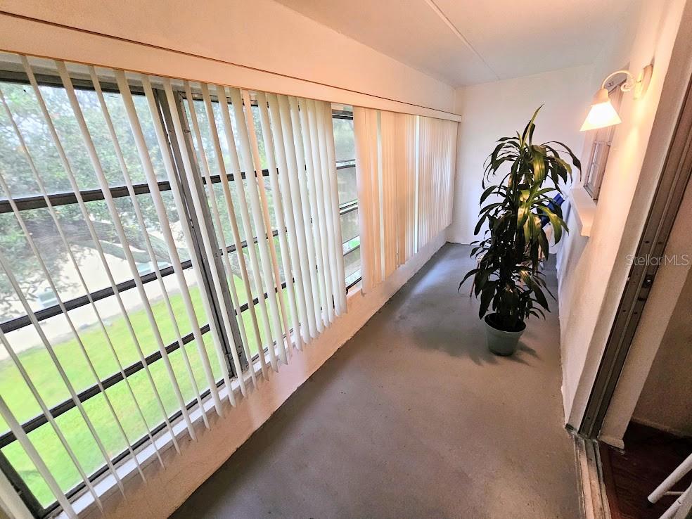 11620 PARK BOULEVARD, #303, Seminole, FL 33772