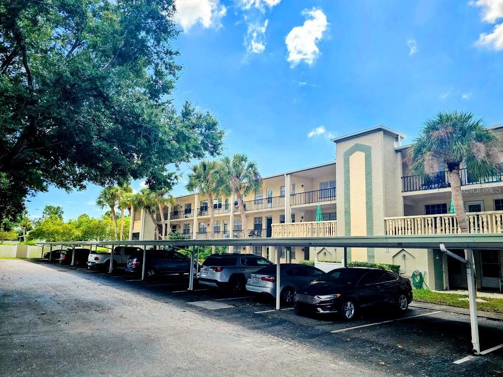 11620 PARK BOULEVARD, #303, Seminole, FL 33772