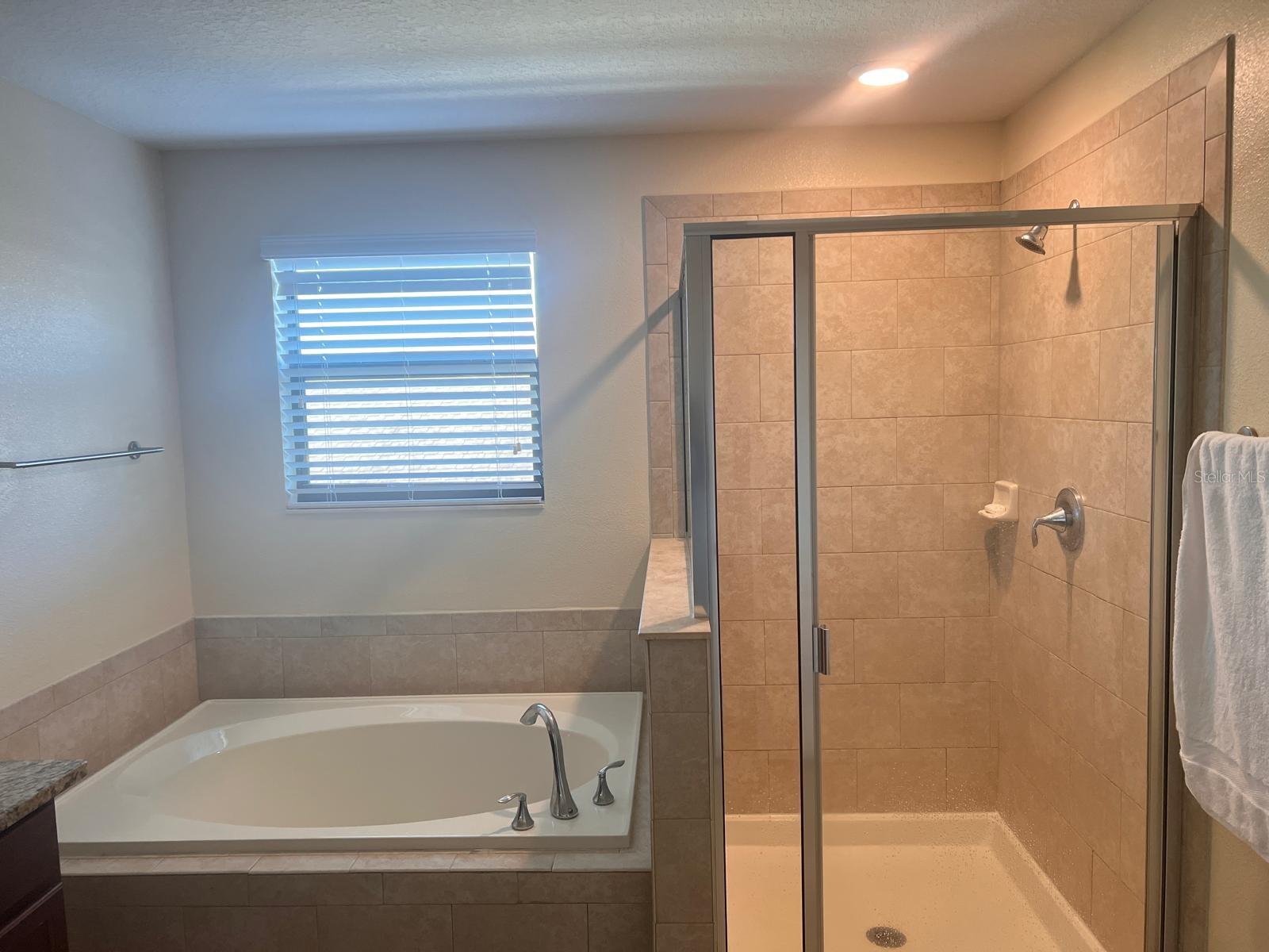 13419 WHITE SAPPHIRE ROAD, Riverview, FL 33579