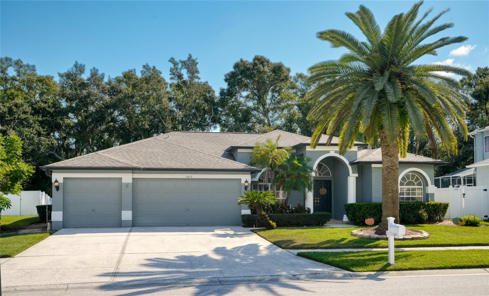 15819 MUIRFIELD DRIVE, Odessa, FL 33556