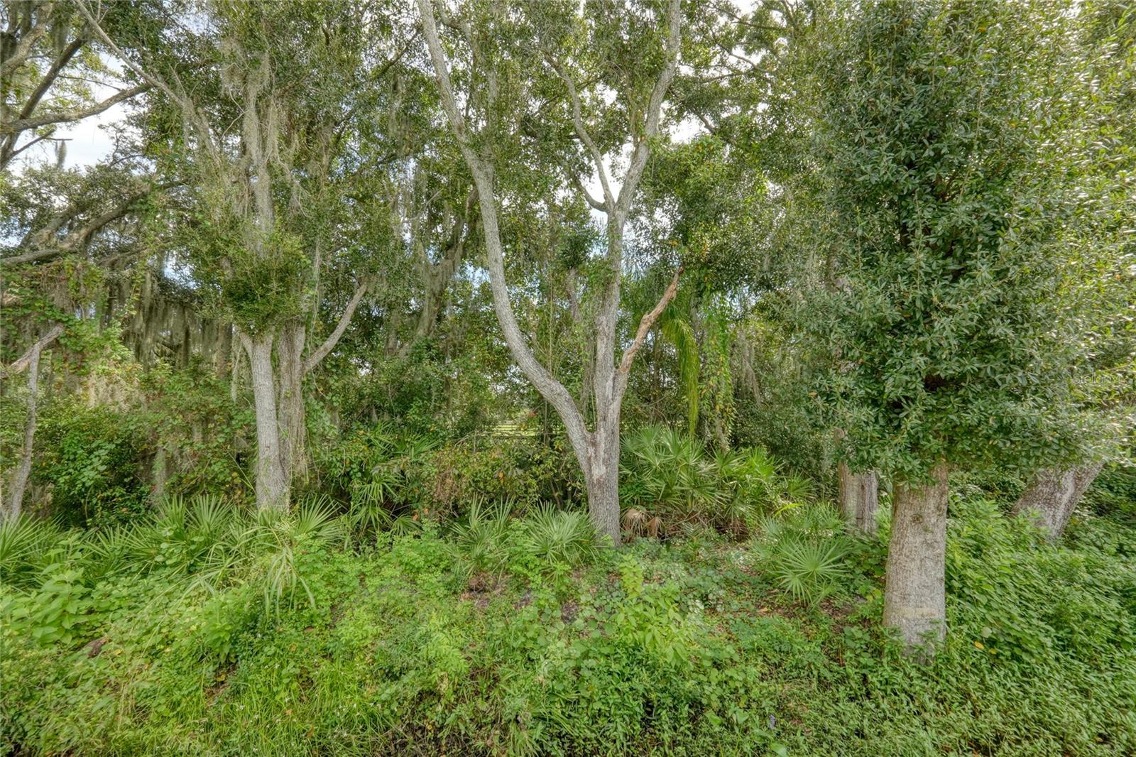 15819 MUIRFIELD DRIVE, Odessa, FL 33556