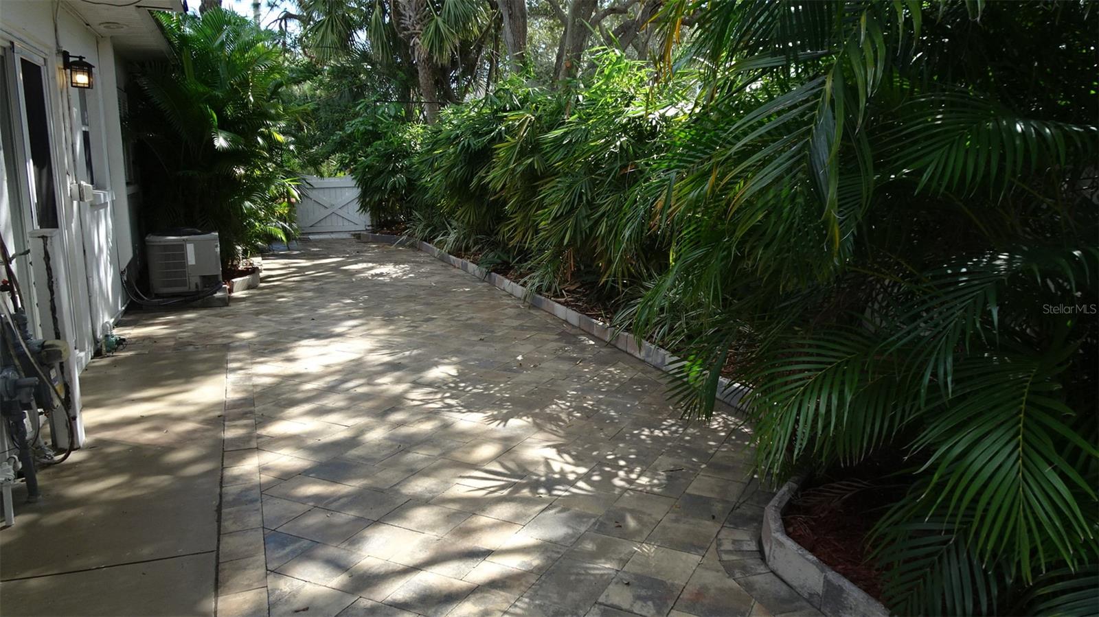 Current view of 45 foot rear patio. Concrete wall behind the palm trees. Gated at far end.
