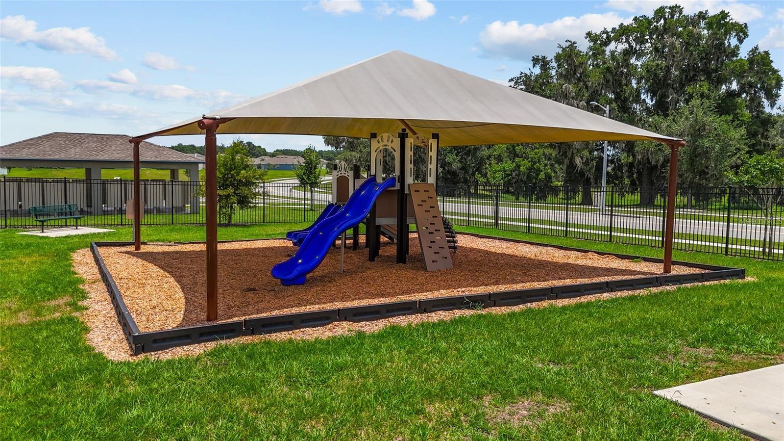 PLAYGROUND & DOG PARK