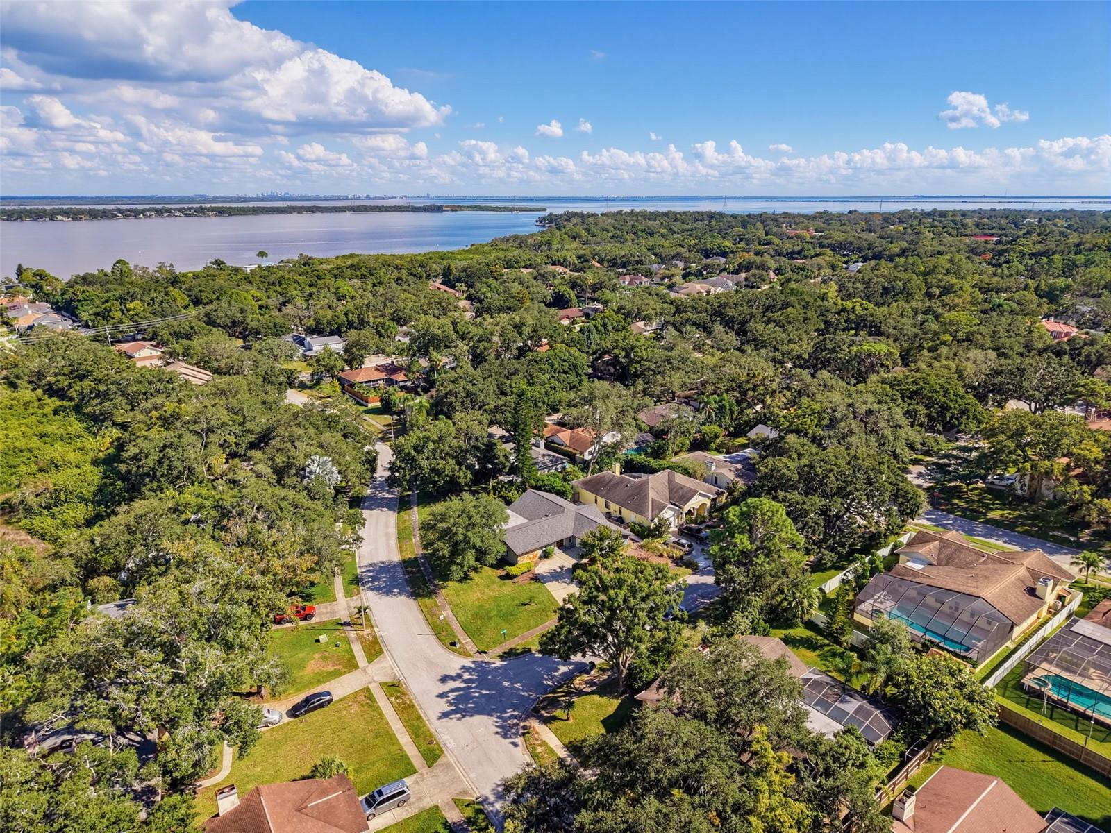 3 SUMMIT LANE, Safety Harbor, FL 34695