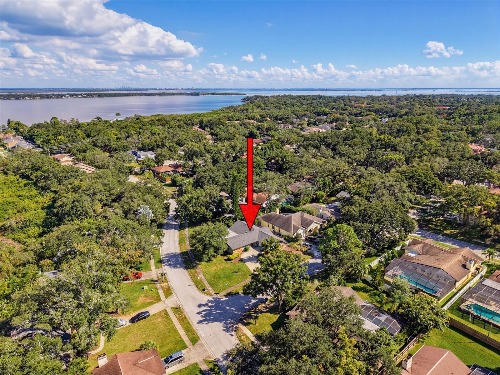 3 SUMMIT LANE, Safety Harbor, FL 34695