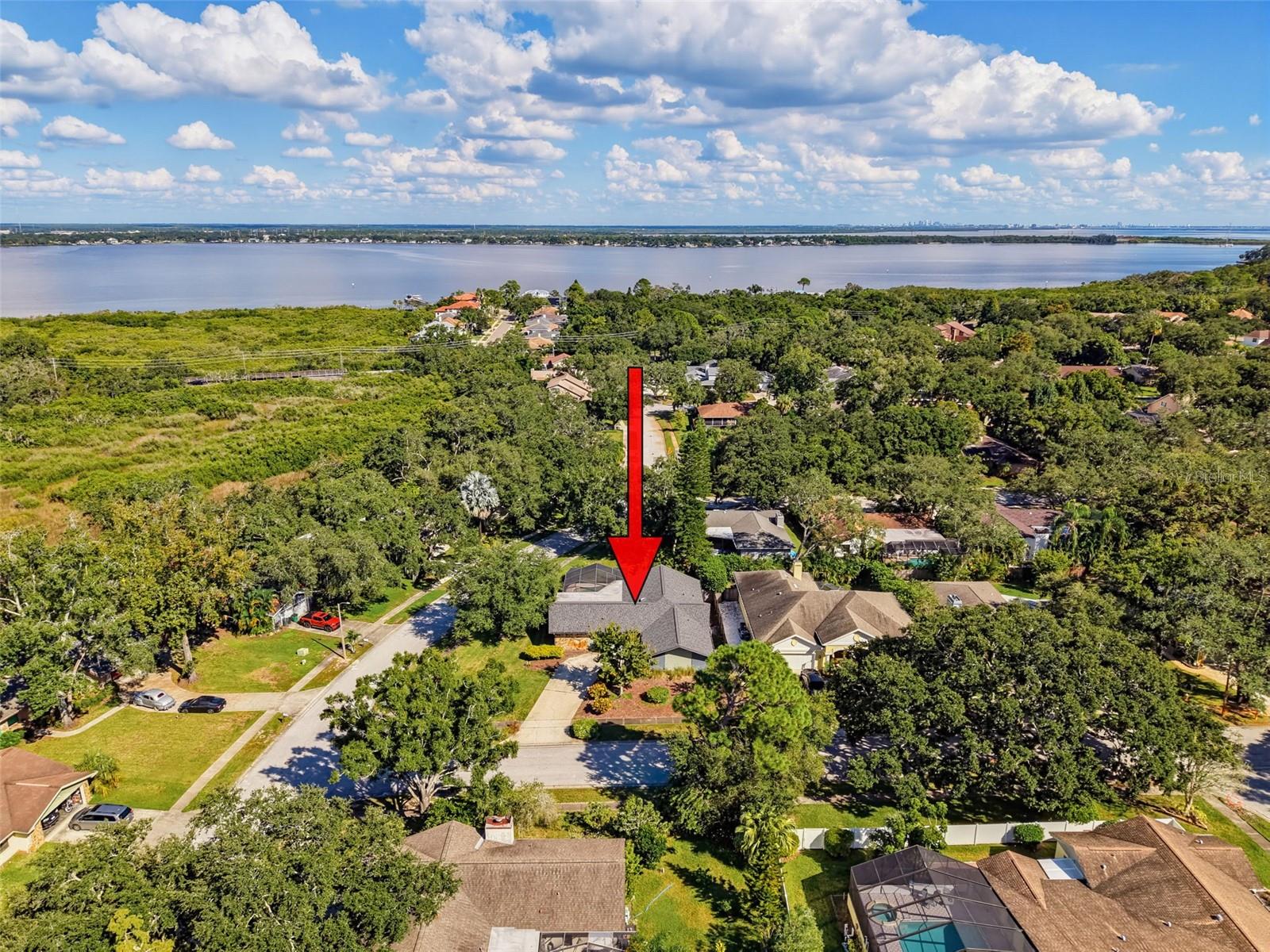 3 SUMMIT LANE, Safety Harbor, FL 34695