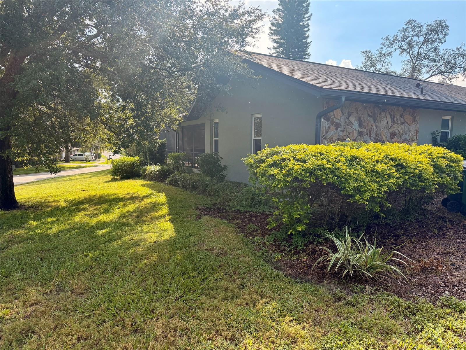 Side Yard