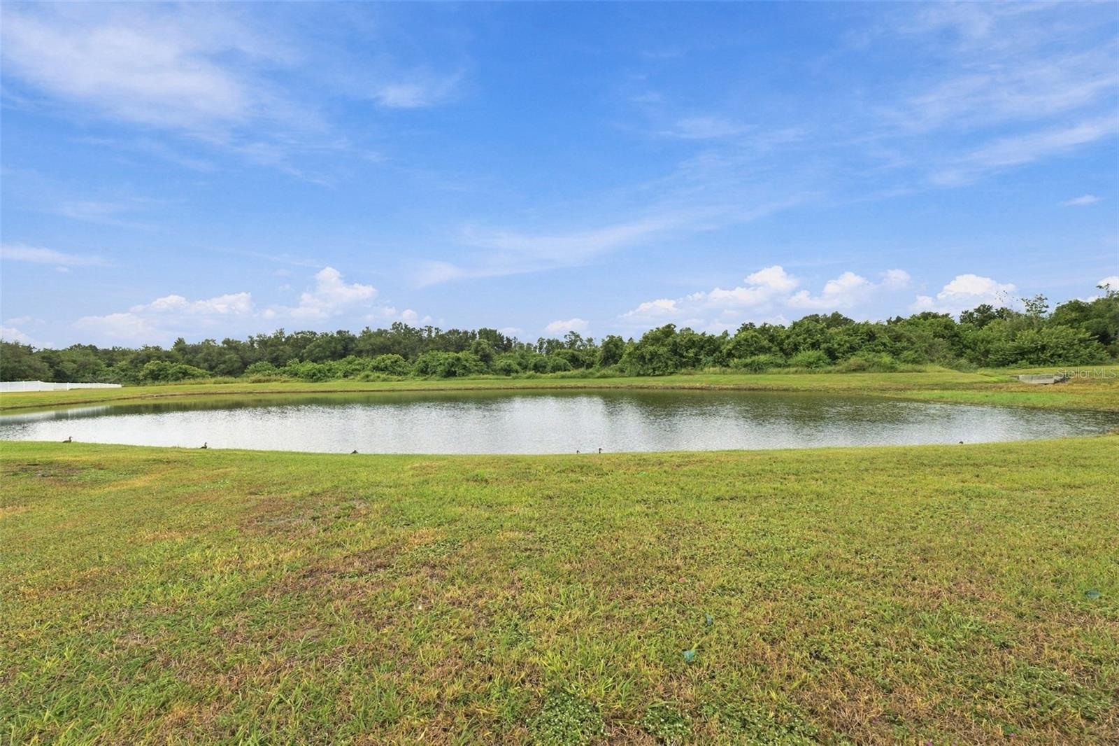 10915 AUSTRALIAN PINE DRIVE, Riverview, FL 33579