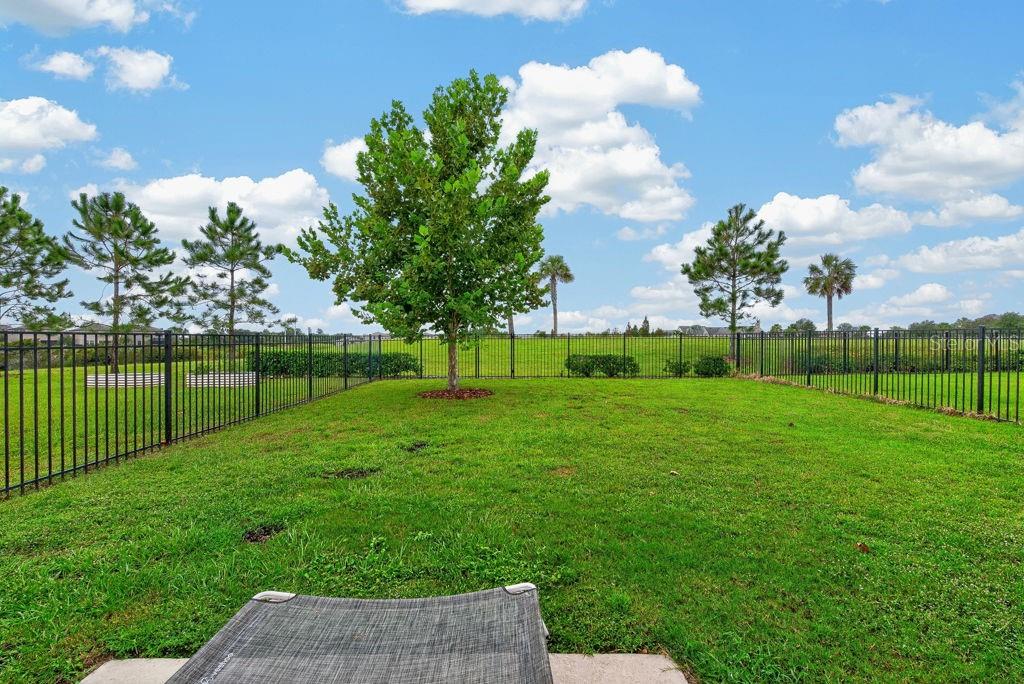 14621 BRUMBY RIDGE AVENUE, Lithia, FL 33547