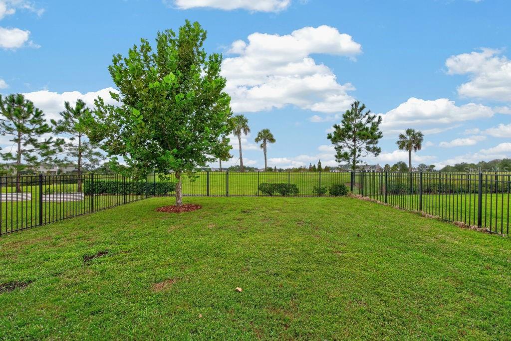 14621 BRUMBY RIDGE AVENUE, Lithia, FL 33547