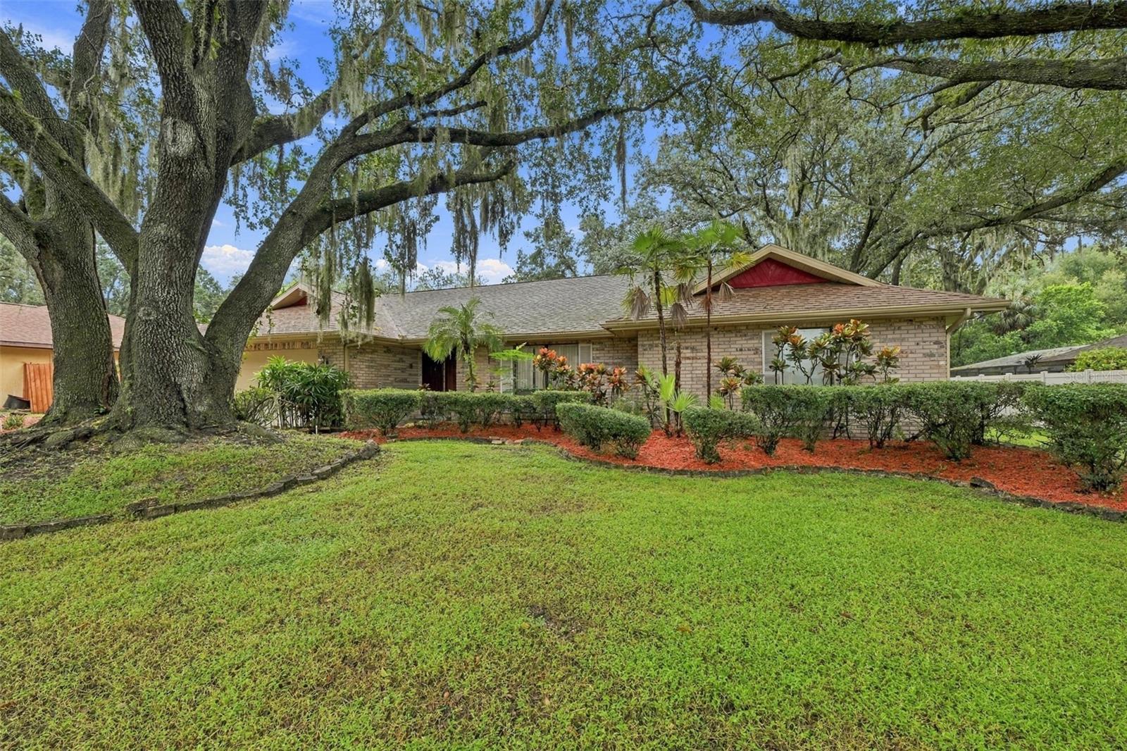 This house sits on over third of an acre. Landscaping is simple and easy to care for in this huge front yard. This house sits on over third of an acre. Landscaping is simple and easy to care for in this huge front yard.