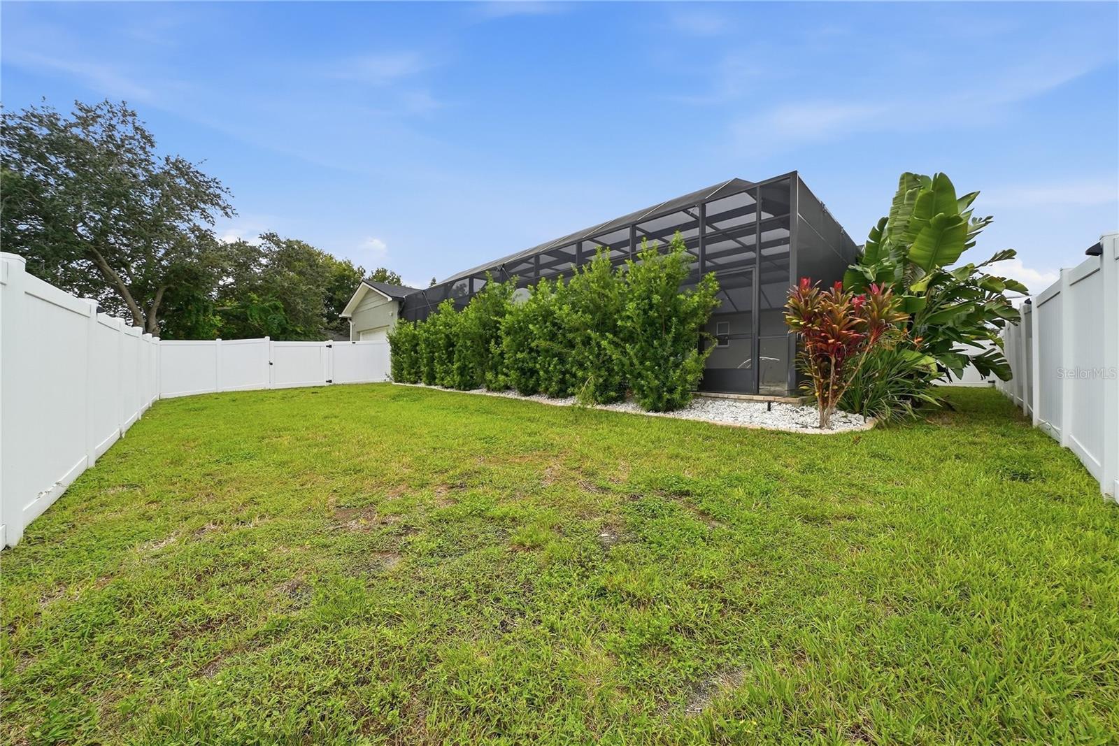 Back of pool area - nice size backyard