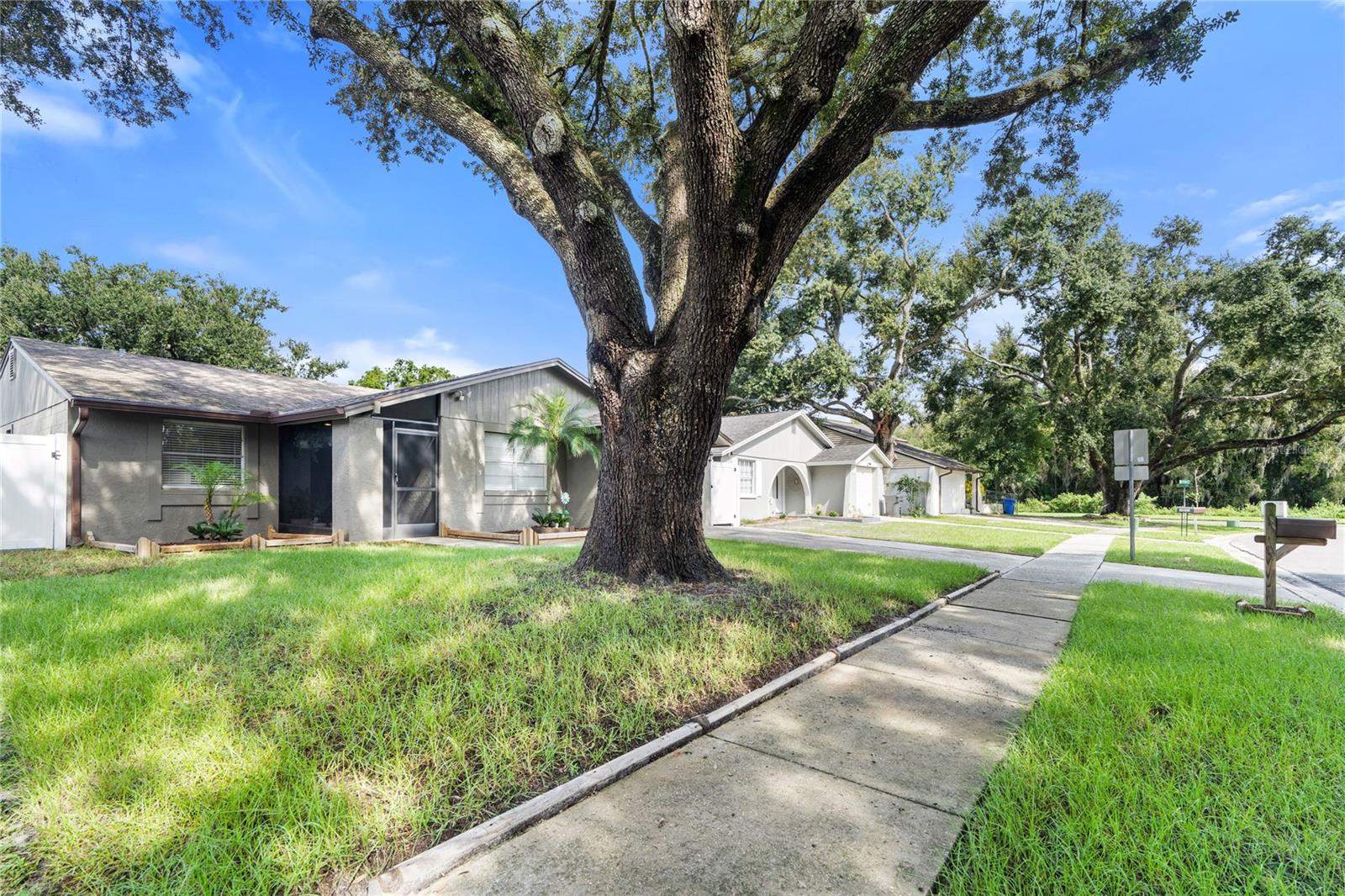 3105 SANDSPUR DRIVE, Tampa, FL 33618