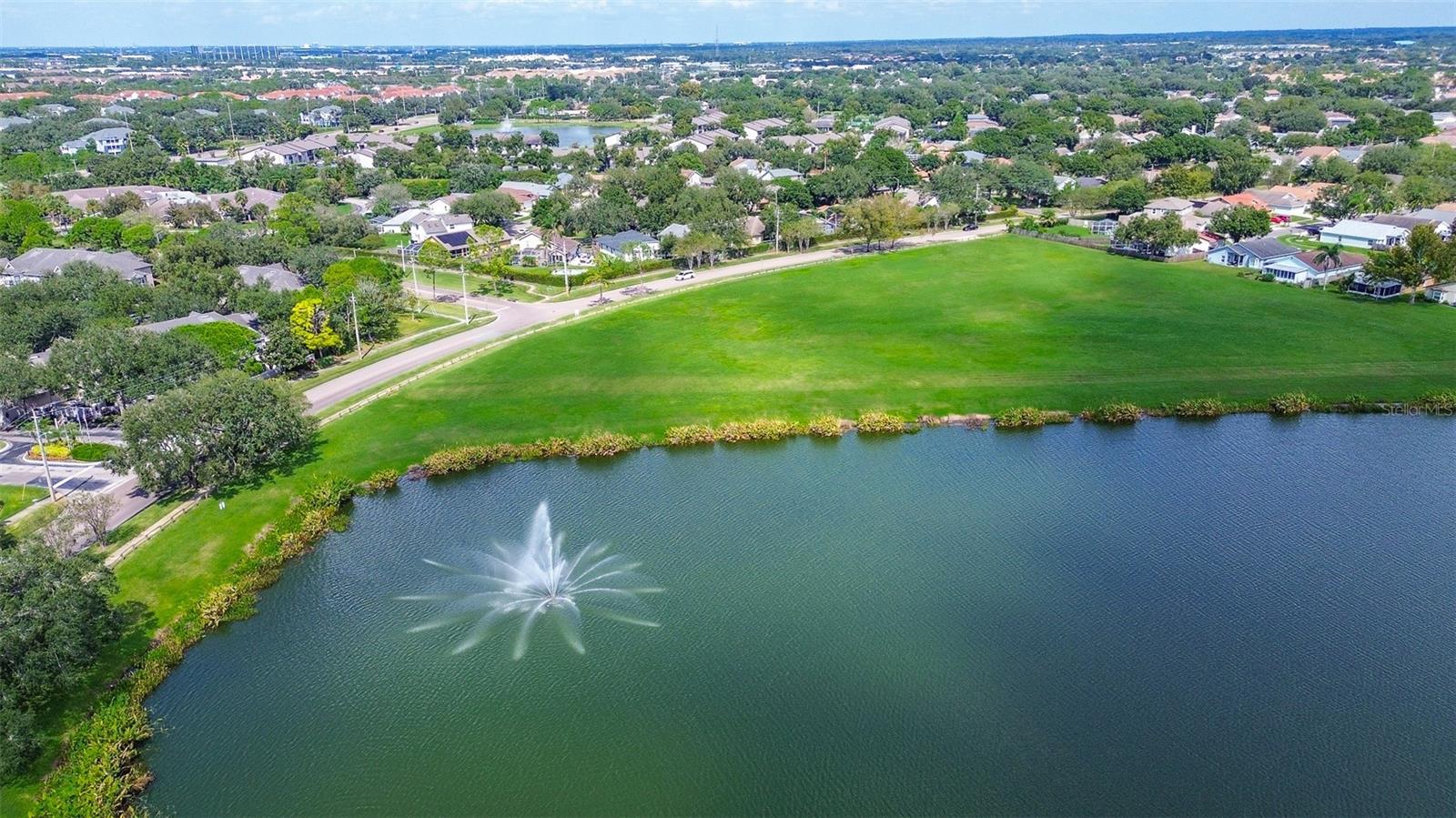 Pond and park area behind house