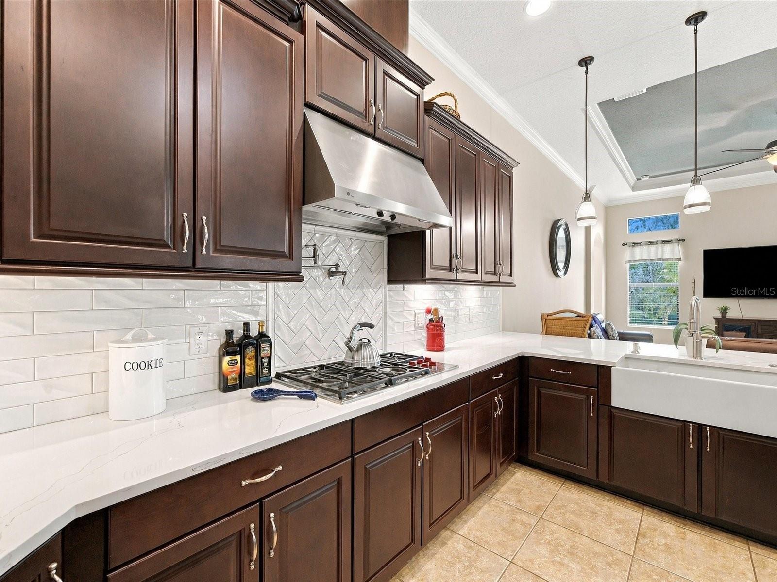 17314 SAN ARINGO PLACE, Lutz, FL 33548