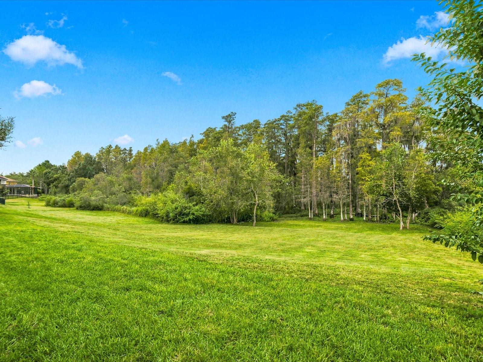 17314 SAN ARINGO PLACE, Lutz, FL 33548