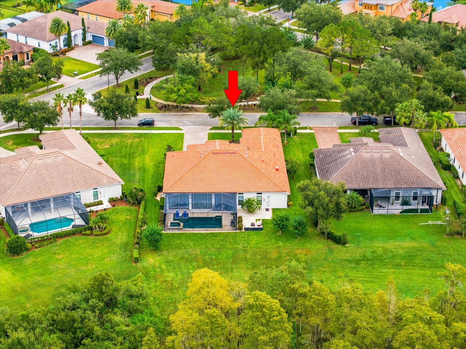 17314 SAN ARINGO PLACE, Lutz, FL 33548