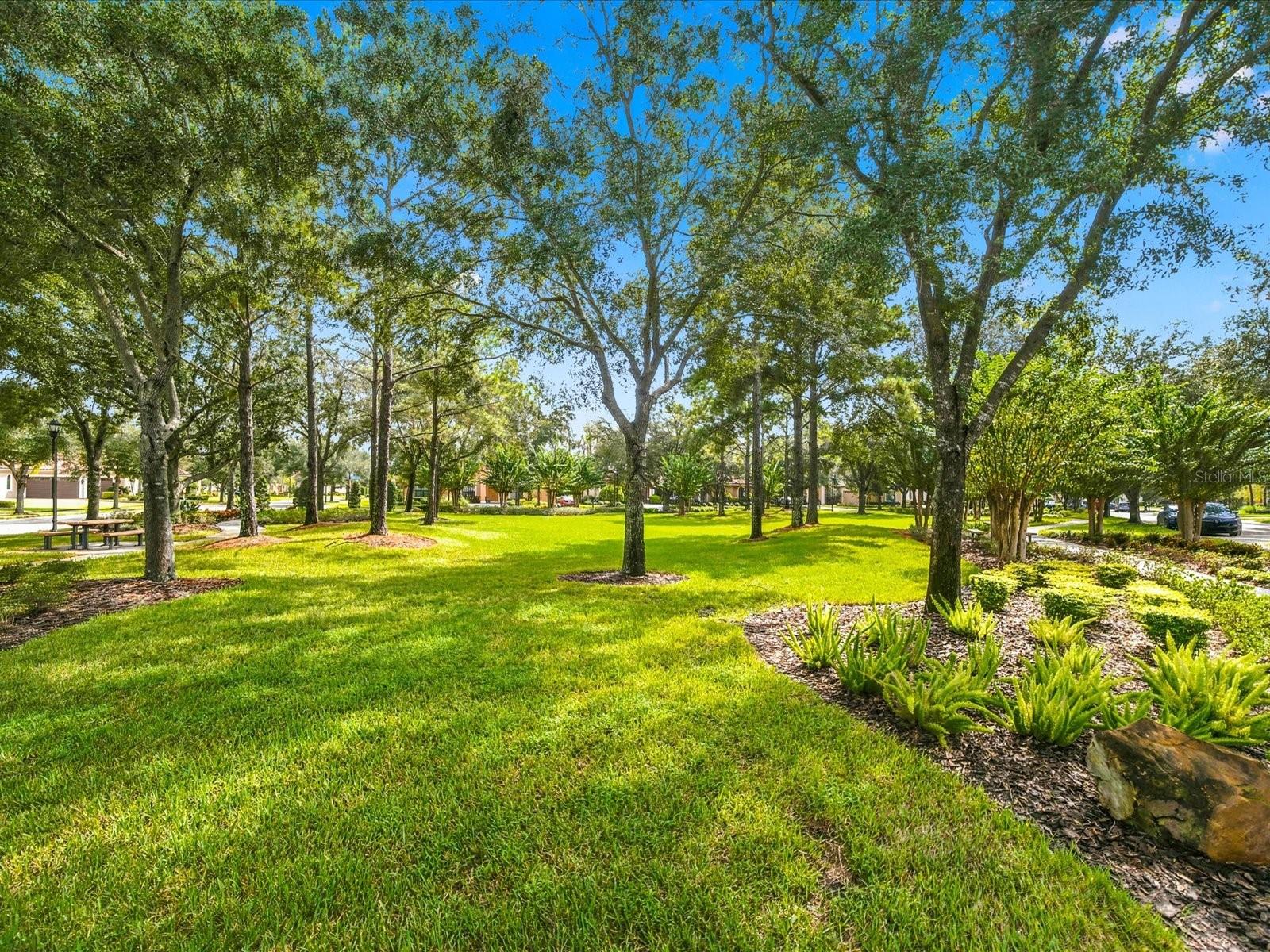 17314 SAN ARINGO PLACE, Lutz, FL 33548