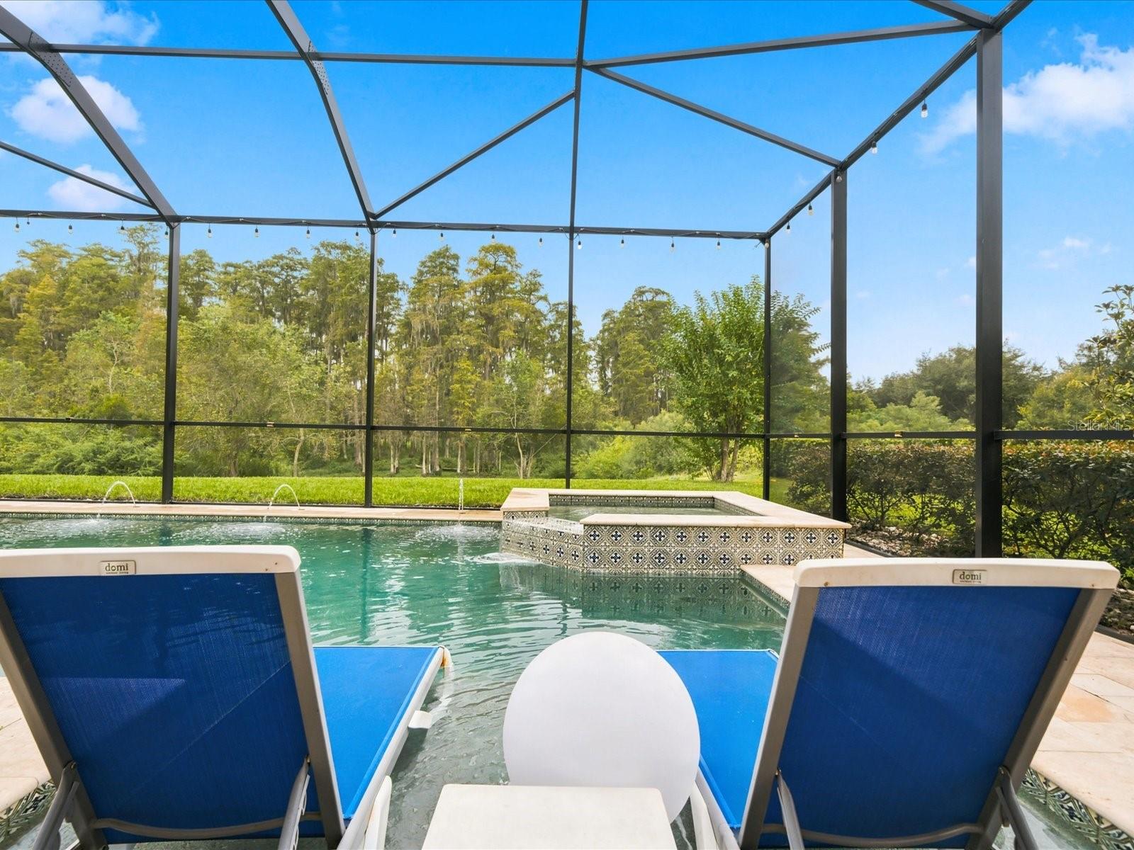 17314 SAN ARINGO PLACE, Lutz, FL 33548