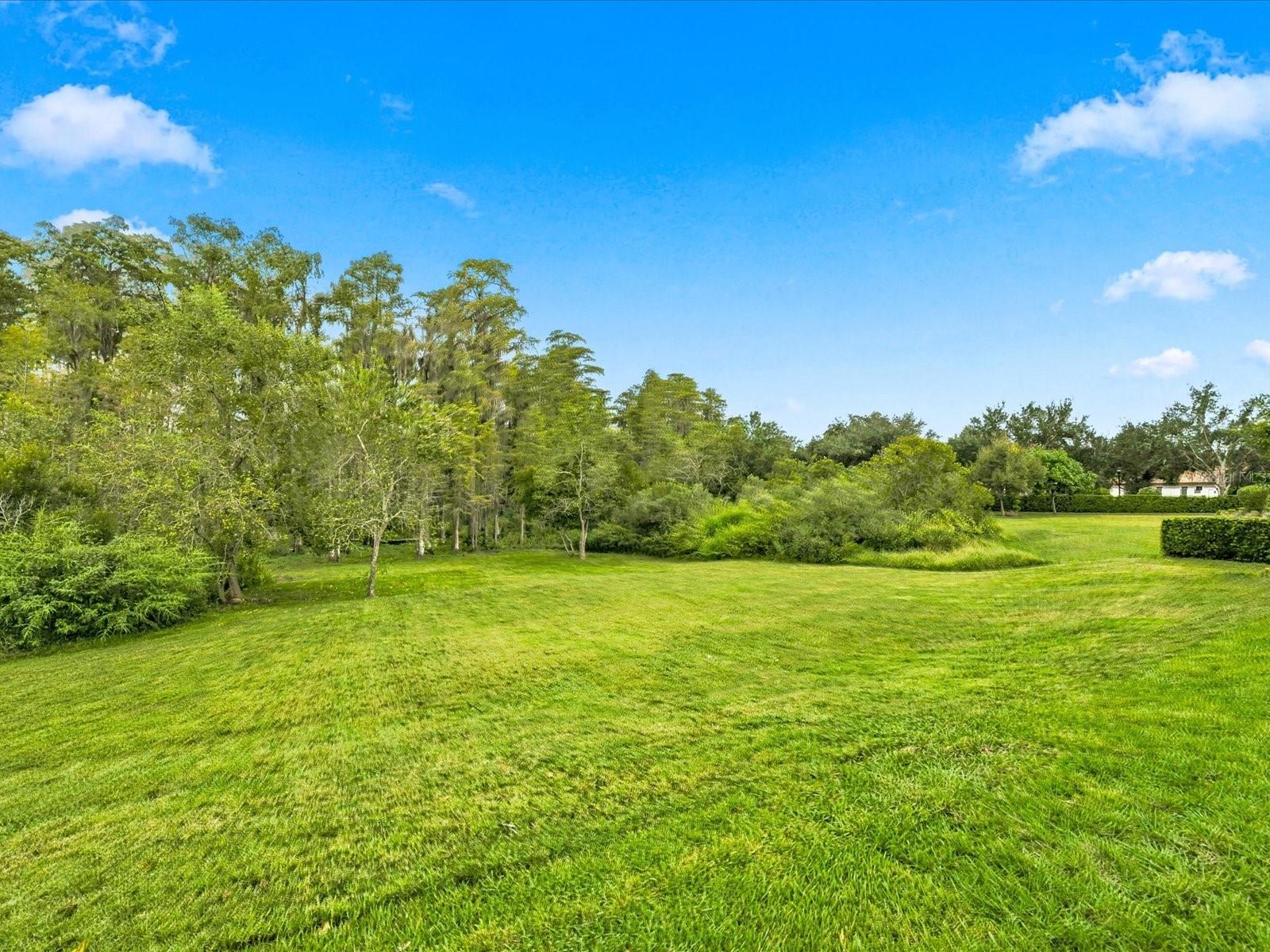 17314 SAN ARINGO PLACE, Lutz, FL 33548