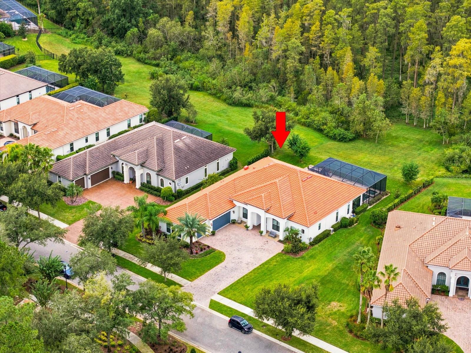 17314 SAN ARINGO PLACE, Lutz, FL 33548