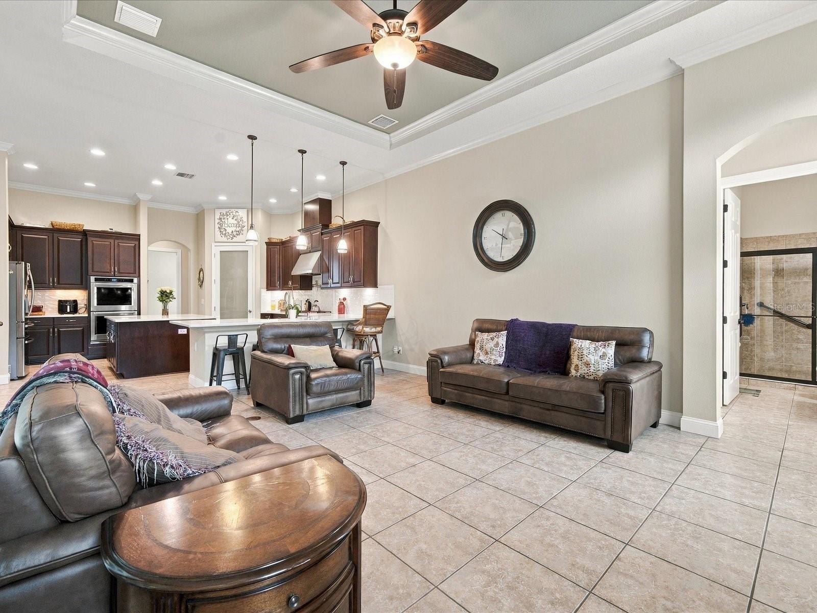 17314 SAN ARINGO PLACE, Lutz, FL 33548