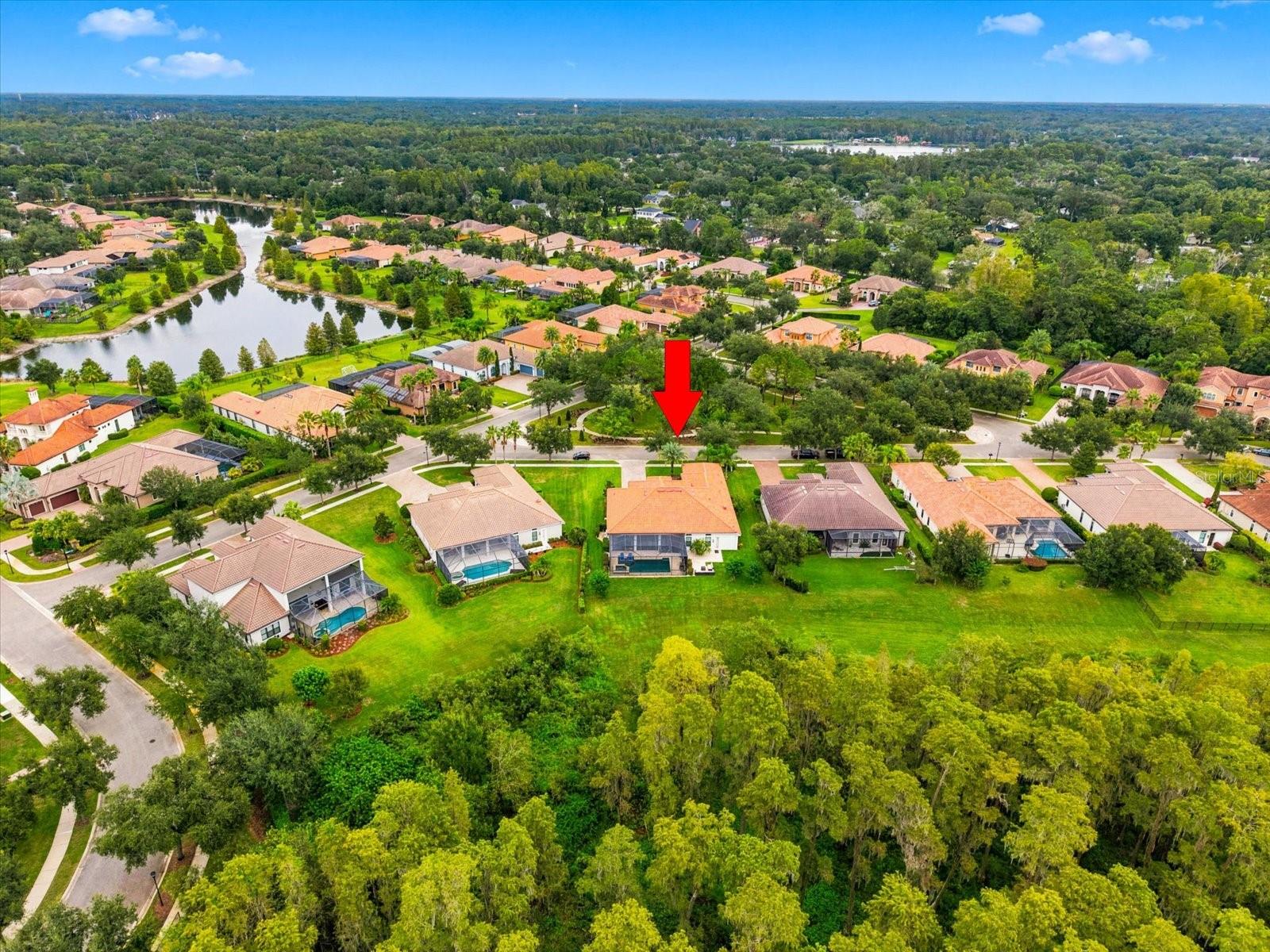 17314 SAN ARINGO PLACE, Lutz, FL 33548