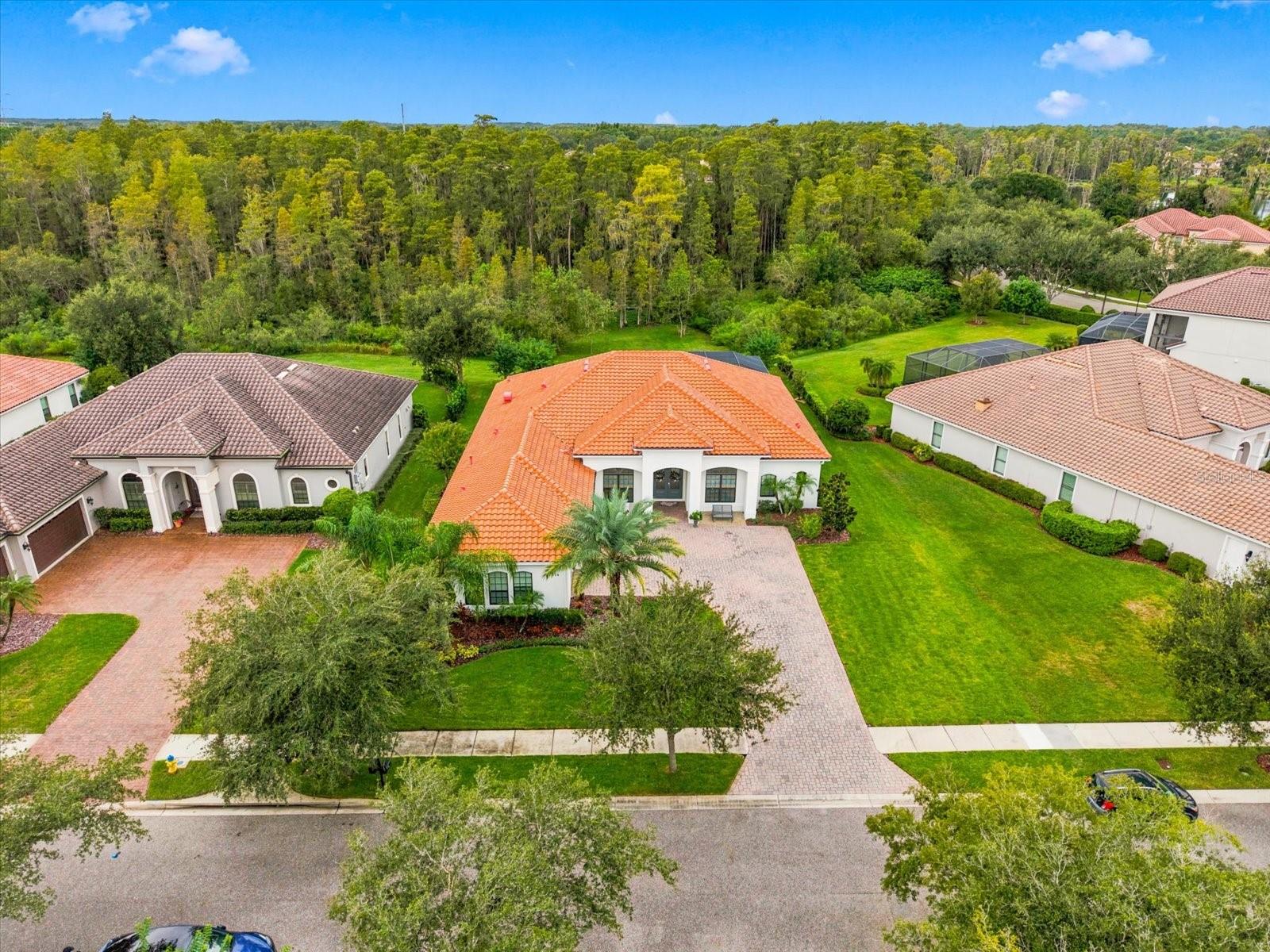 17314 SAN ARINGO PLACE, Lutz, FL 33548