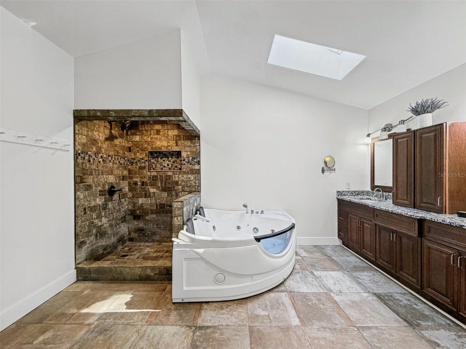 Primary Bath Spa & Shower
