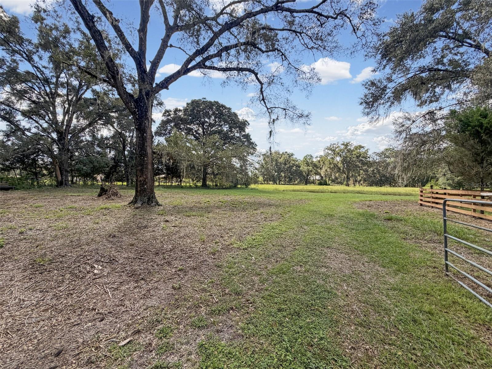 15561 PATRIOT DRIVE, Brooksville, FL 34601