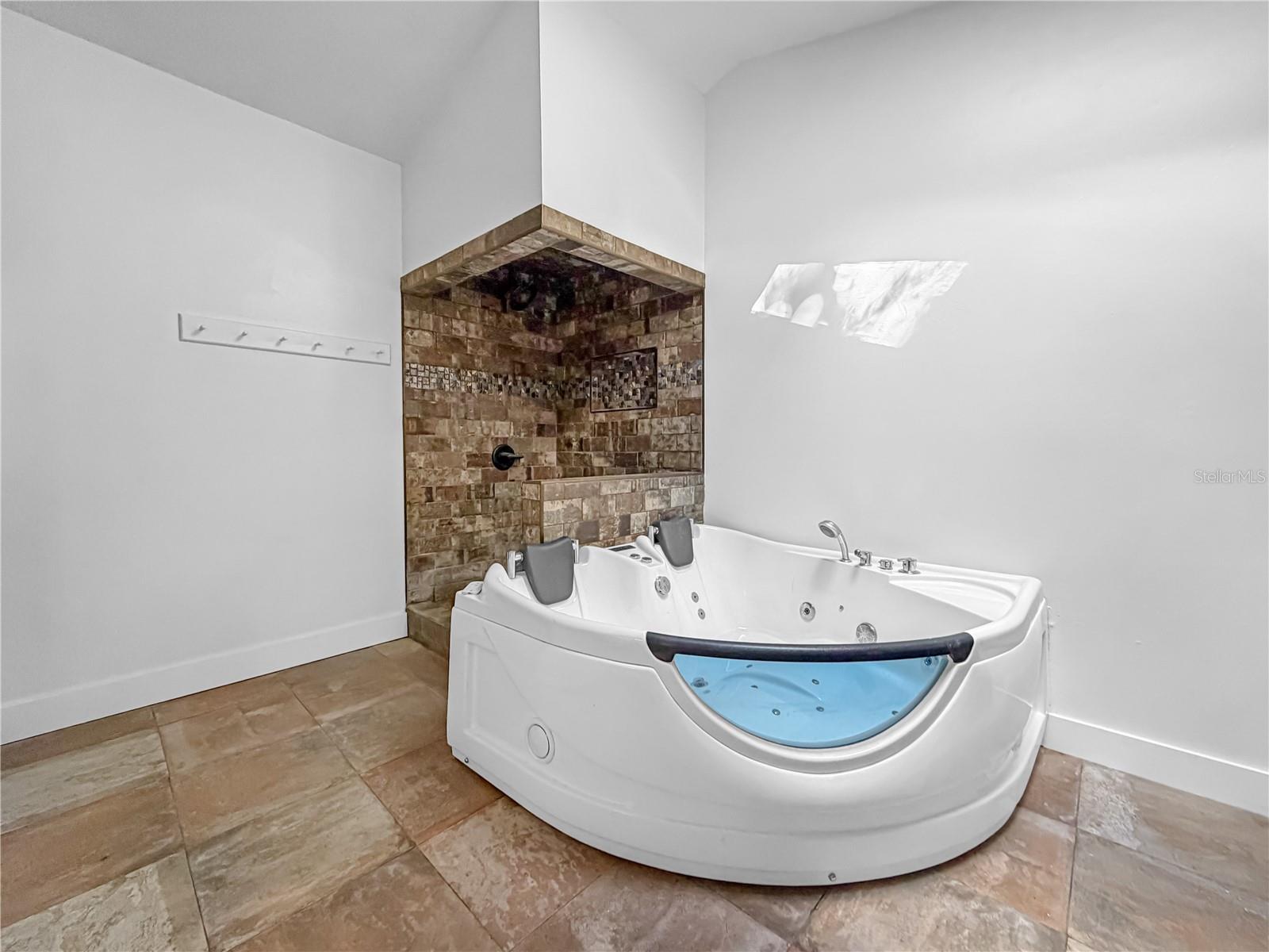 Primary Bath Spa & Shower