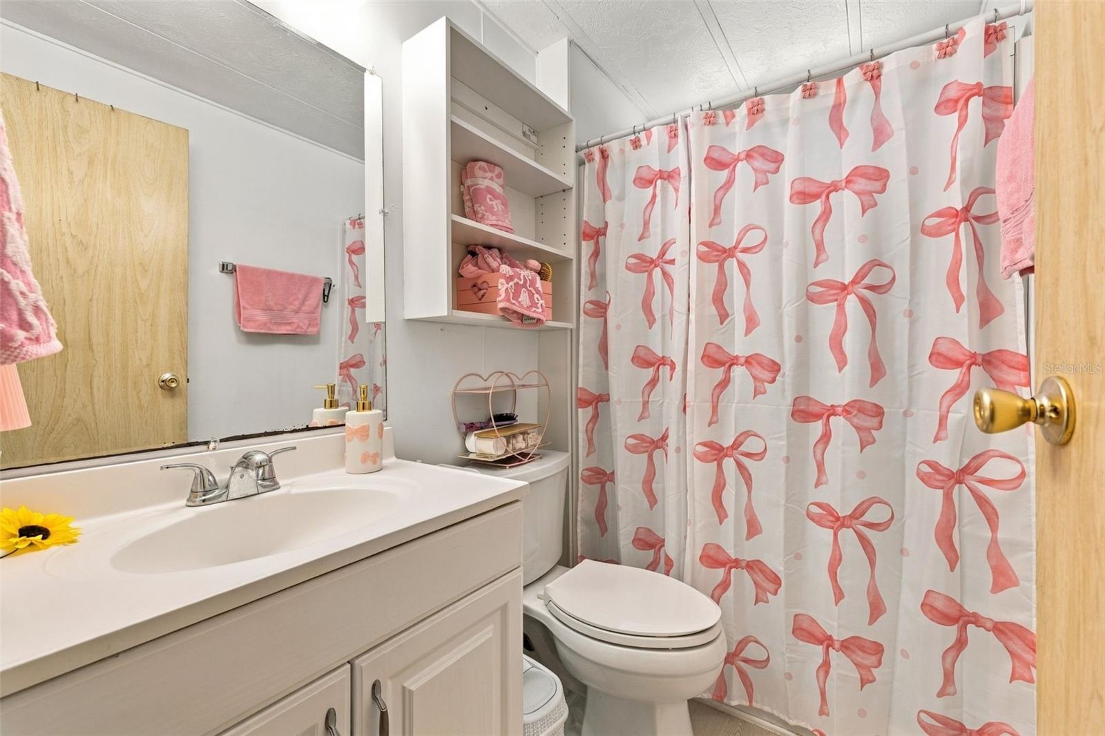 Guest bathroom