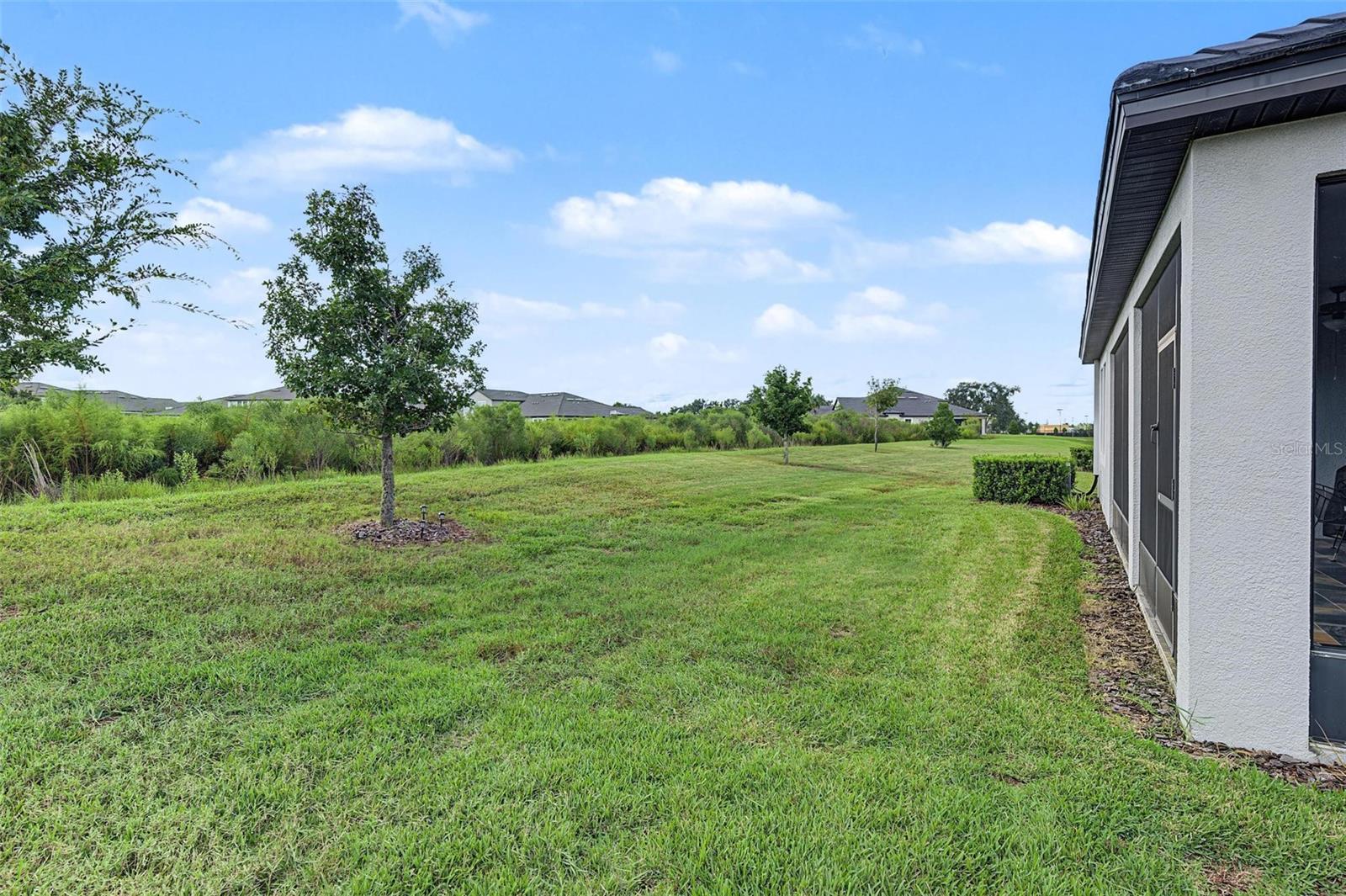 31733 CABANA RYE AVENUE, San Antonio, FL 33576