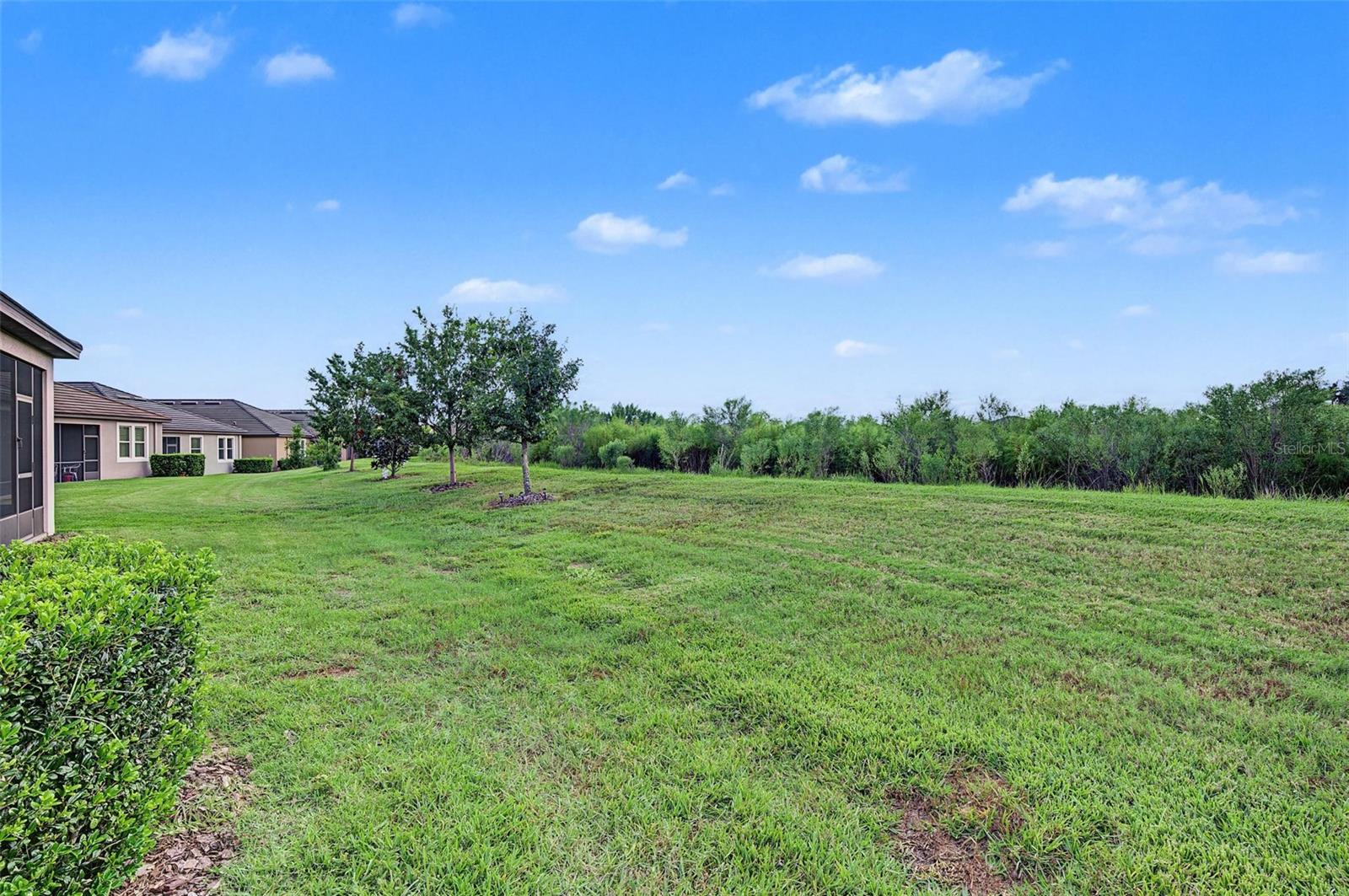 31733 CABANA RYE AVENUE, San Antonio, FL 33576