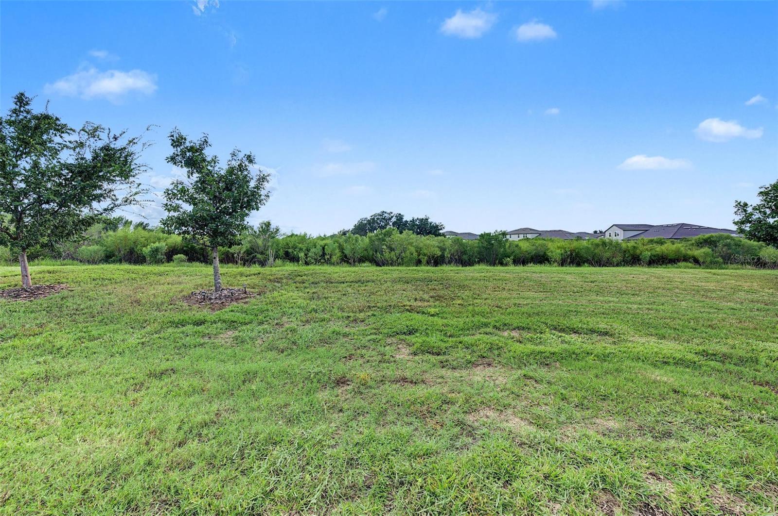 31733 CABANA RYE AVENUE, San Antonio, FL 33576