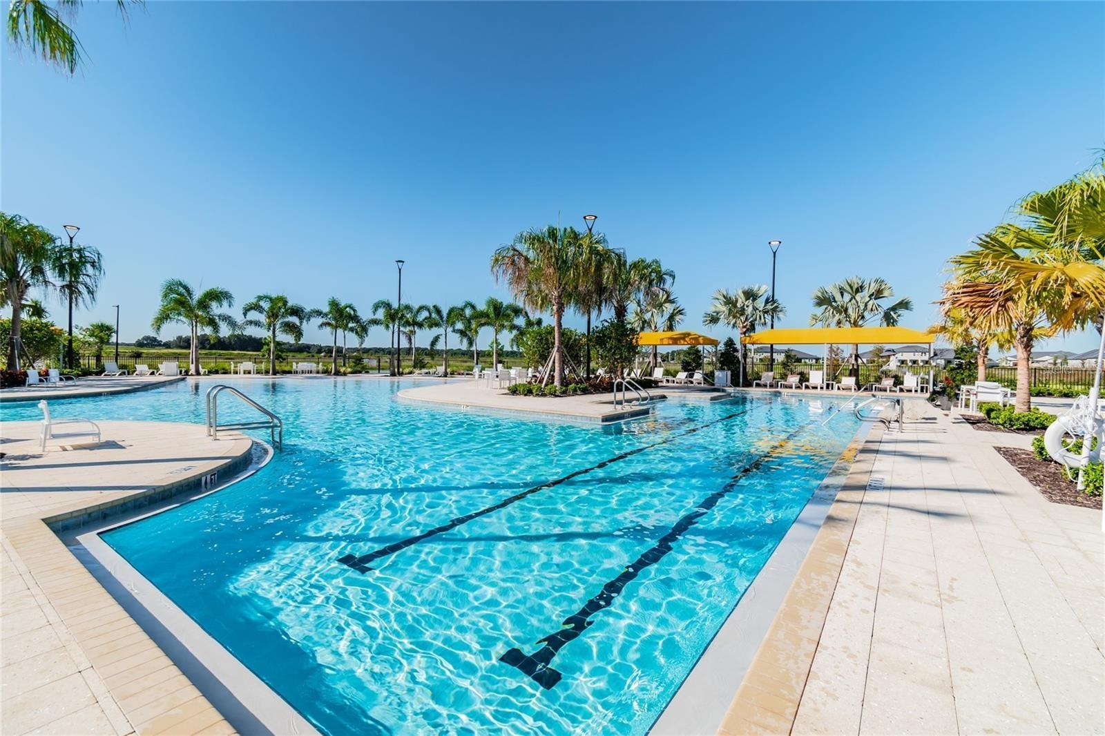 Lap Pool