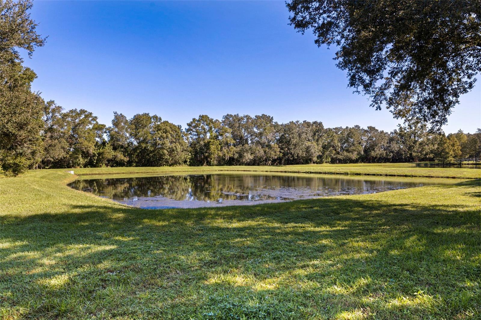 4758 WHISPERING WIND AVENUE, Tampa, FL 33614