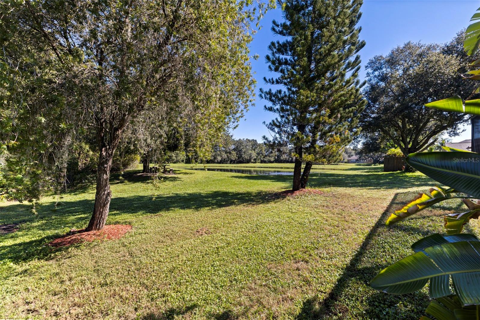 4758 WHISPERING WIND AVENUE, Tampa, FL 33614