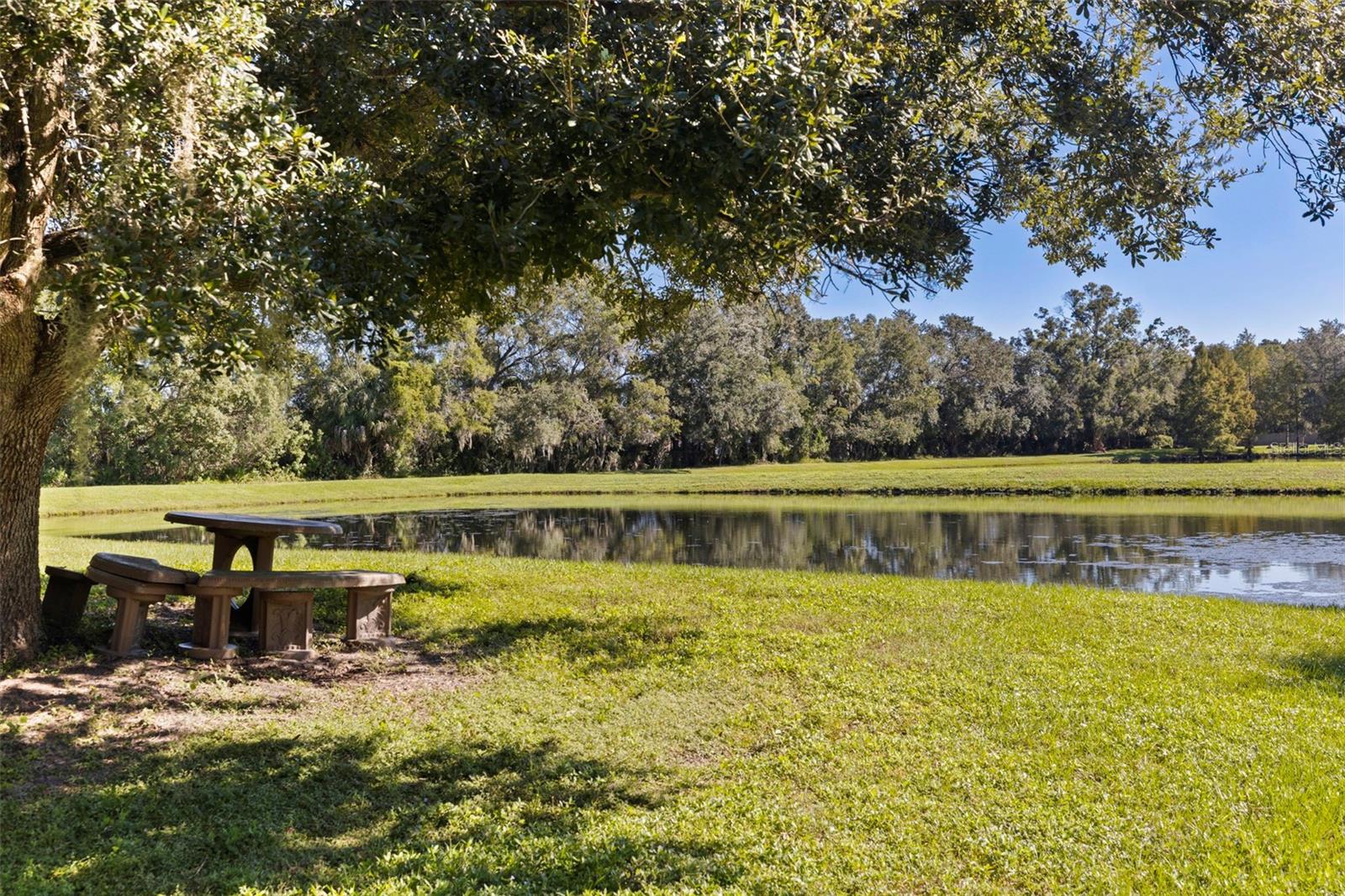 4758 WHISPERING WIND AVENUE, Tampa, FL 33614