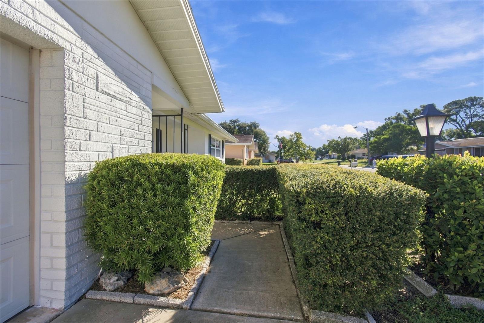 7917 MIMOSA DRIVE, Port Richey, FL 34668