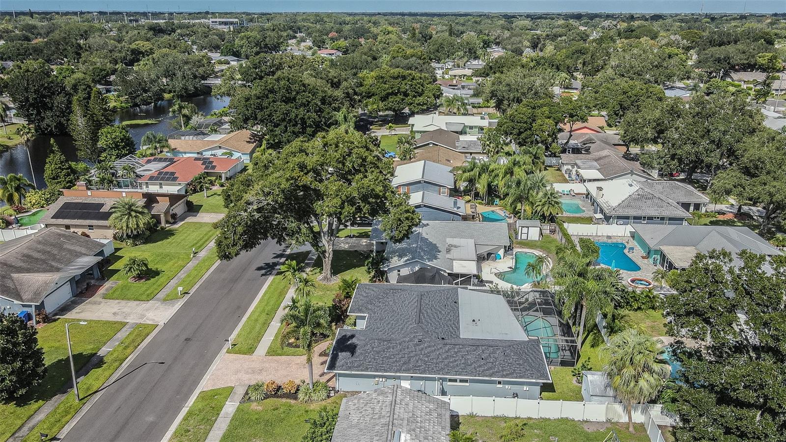 1241 STONY BROOK LANE, Dunedin, FL 34698