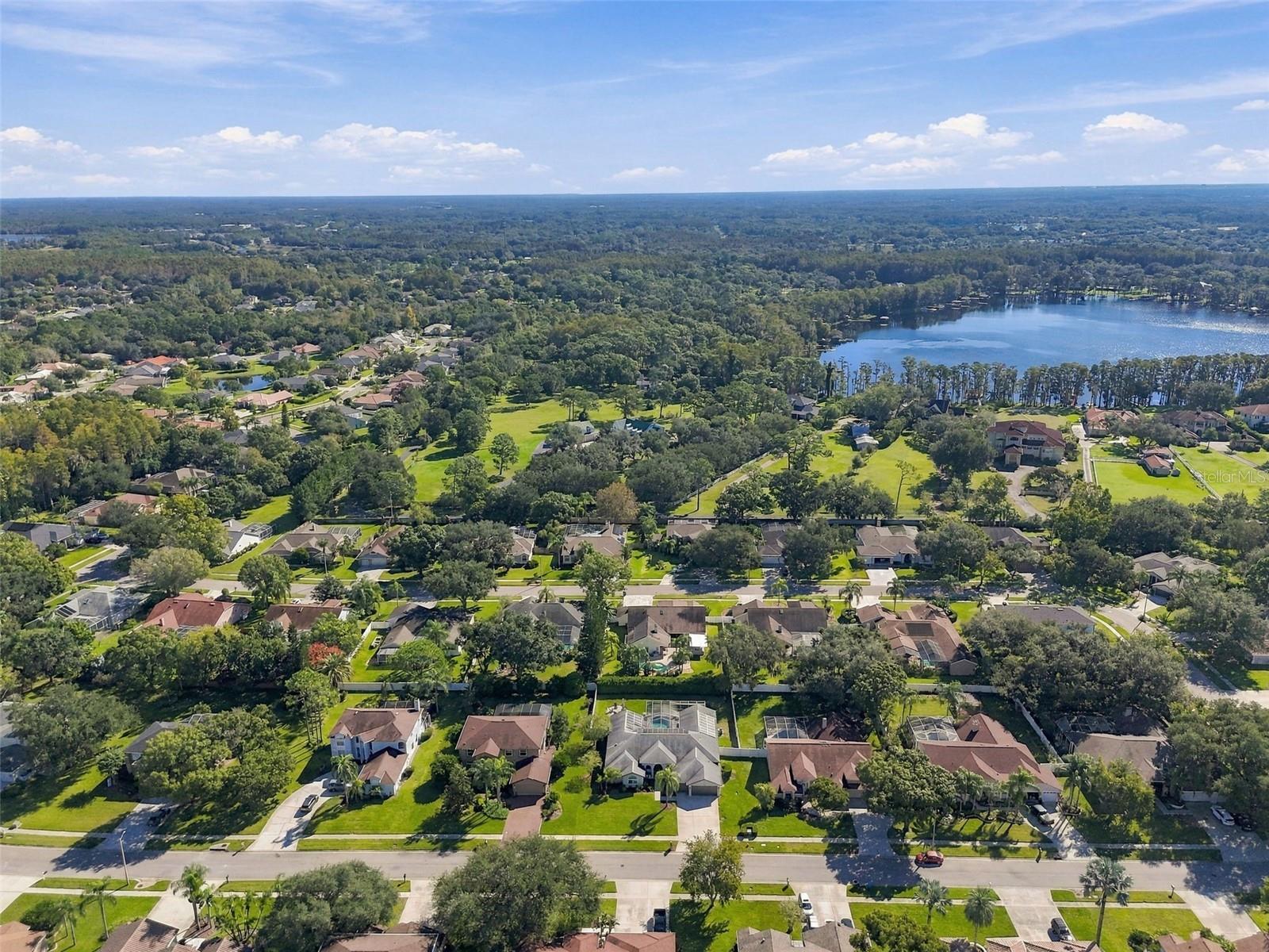 17035 WINNERS CIRCLE, Odessa, FL 33556