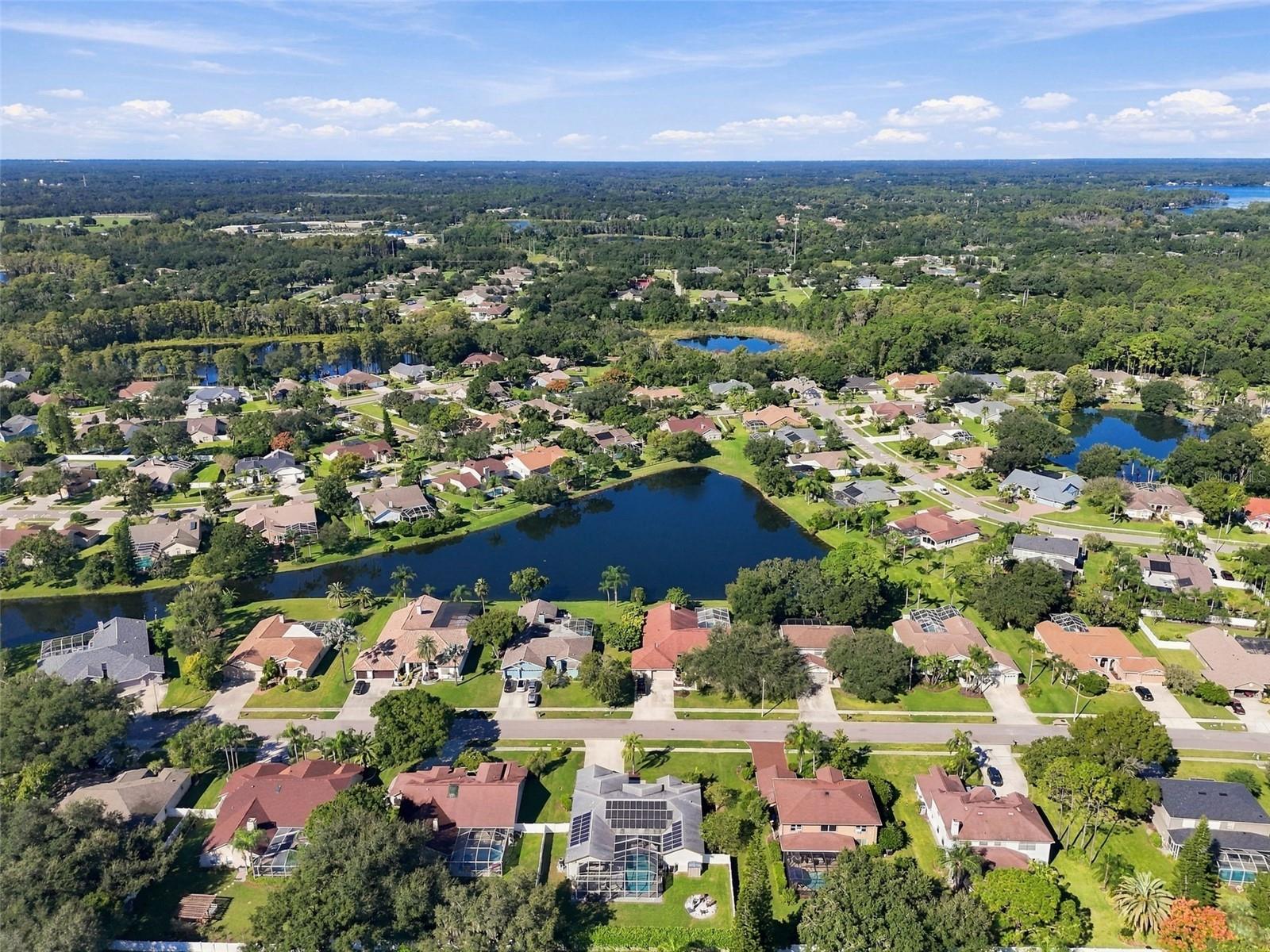 17035 WINNERS CIRCLE, Odessa, FL 33556