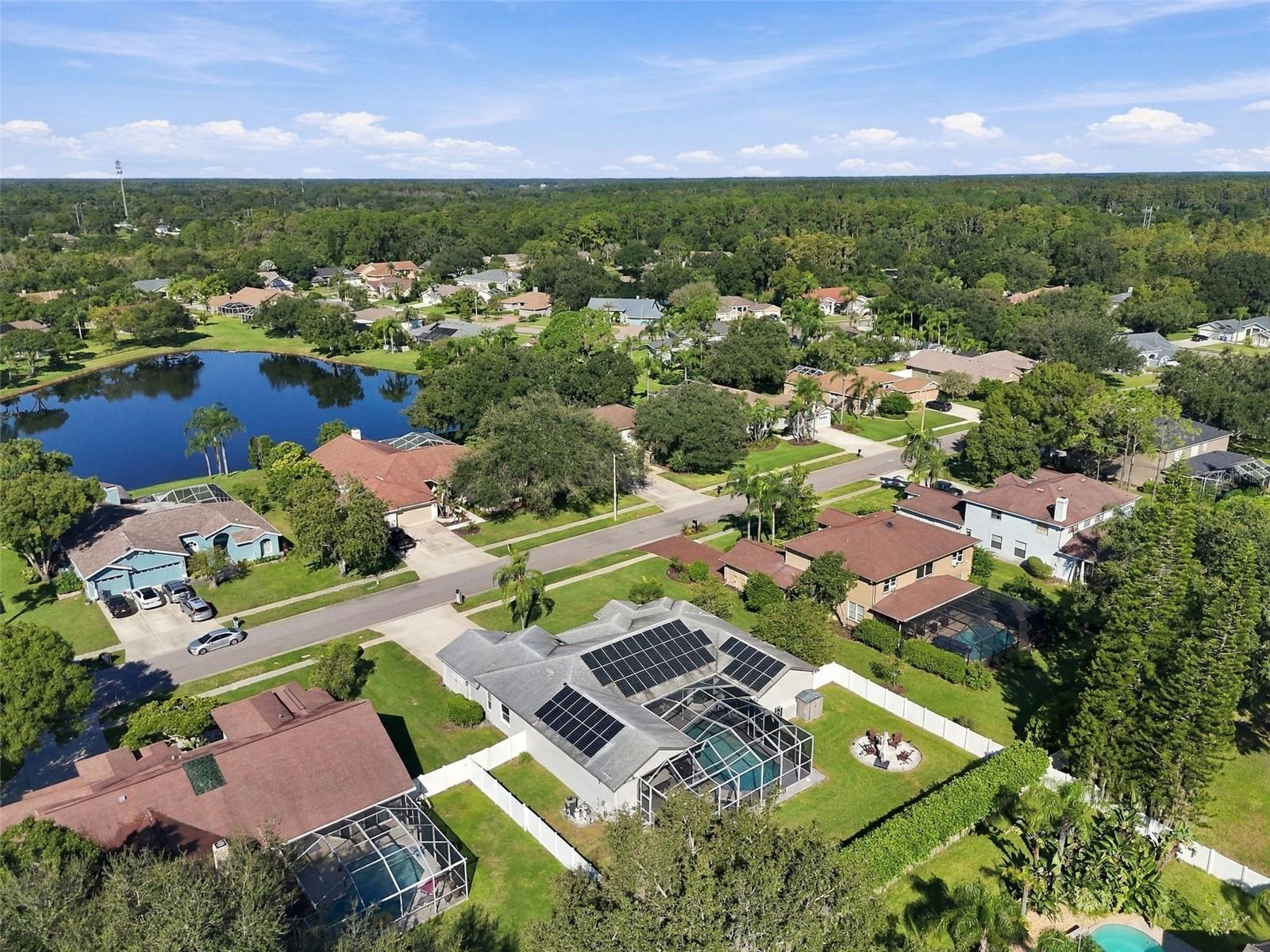 17035 WINNERS CIRCLE, Odessa, FL 33556