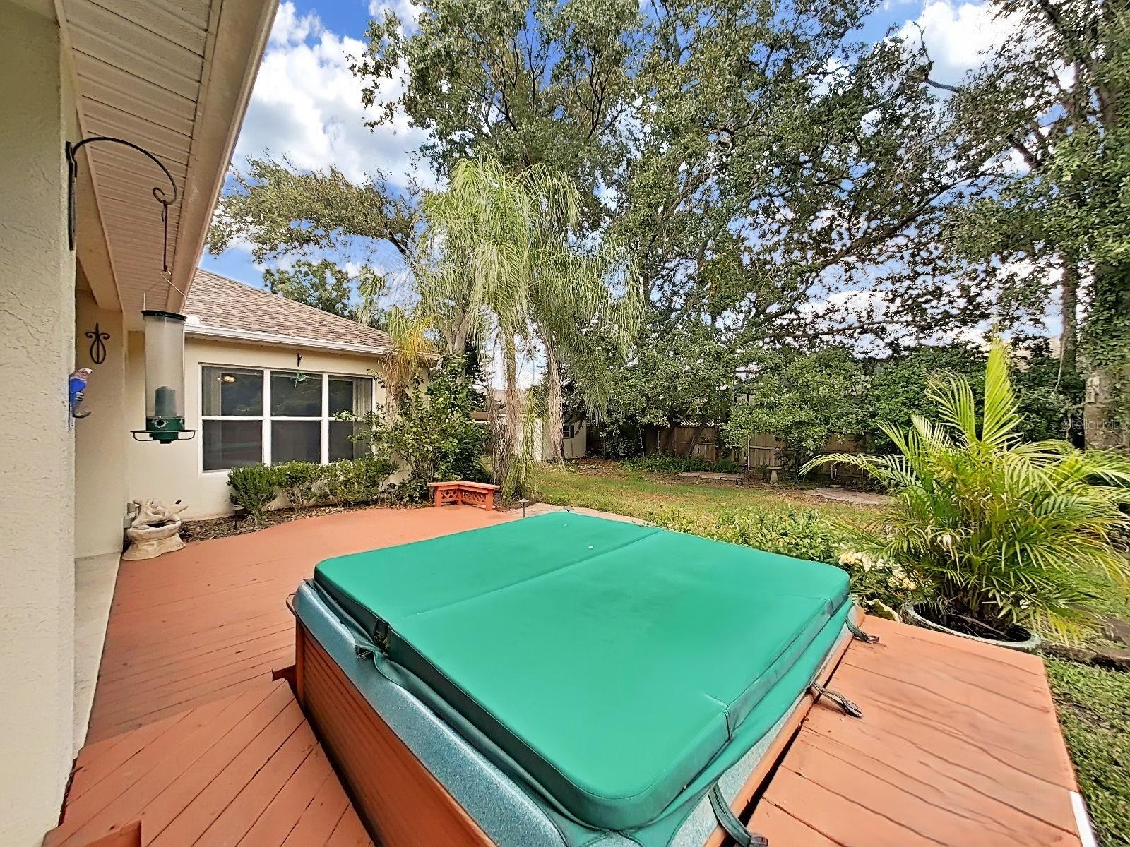 Hot Tub Anyone?